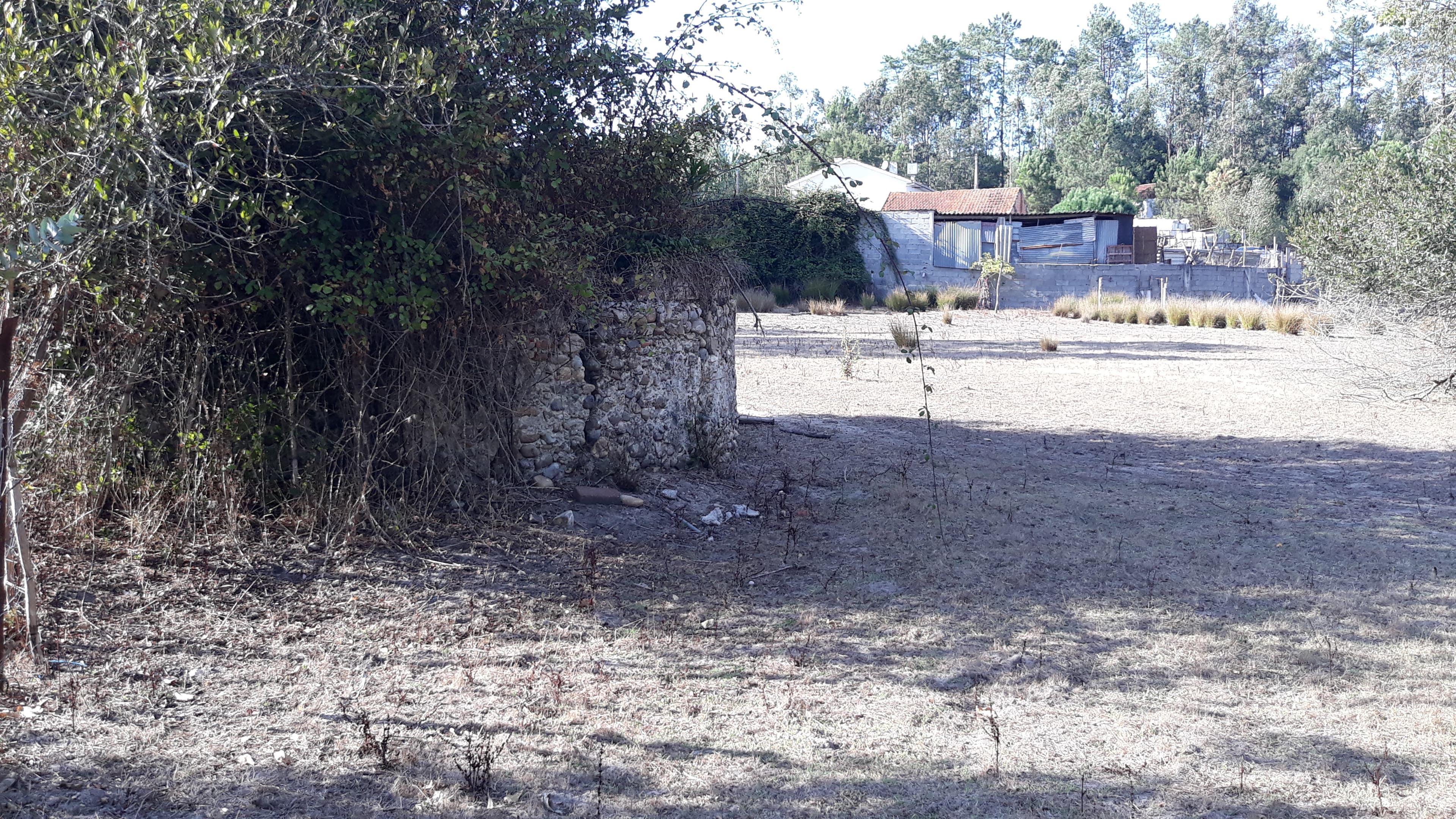 Terreno · Marinha Grande — imagen 3
