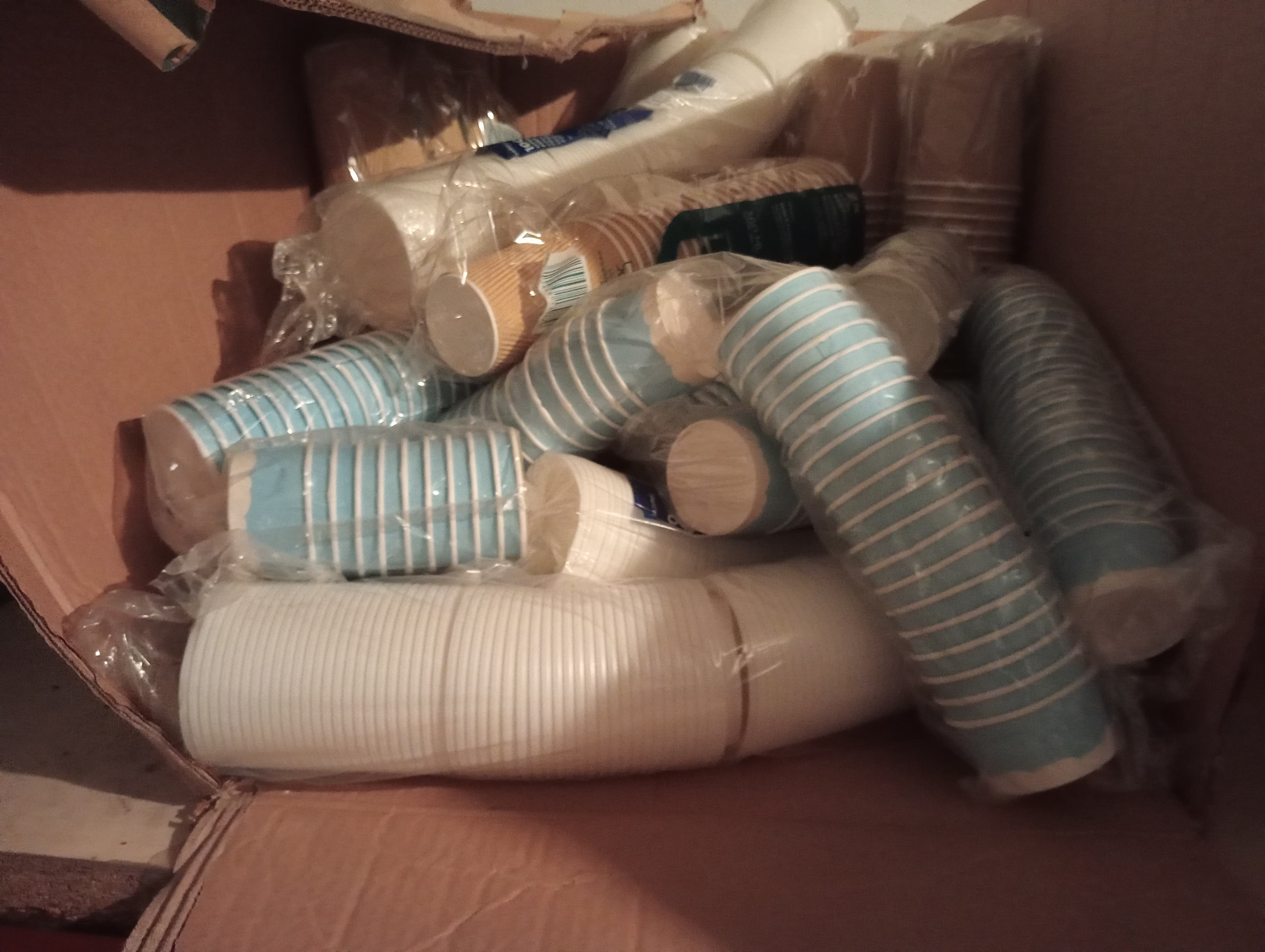 Equipo Diverso — imagen 5