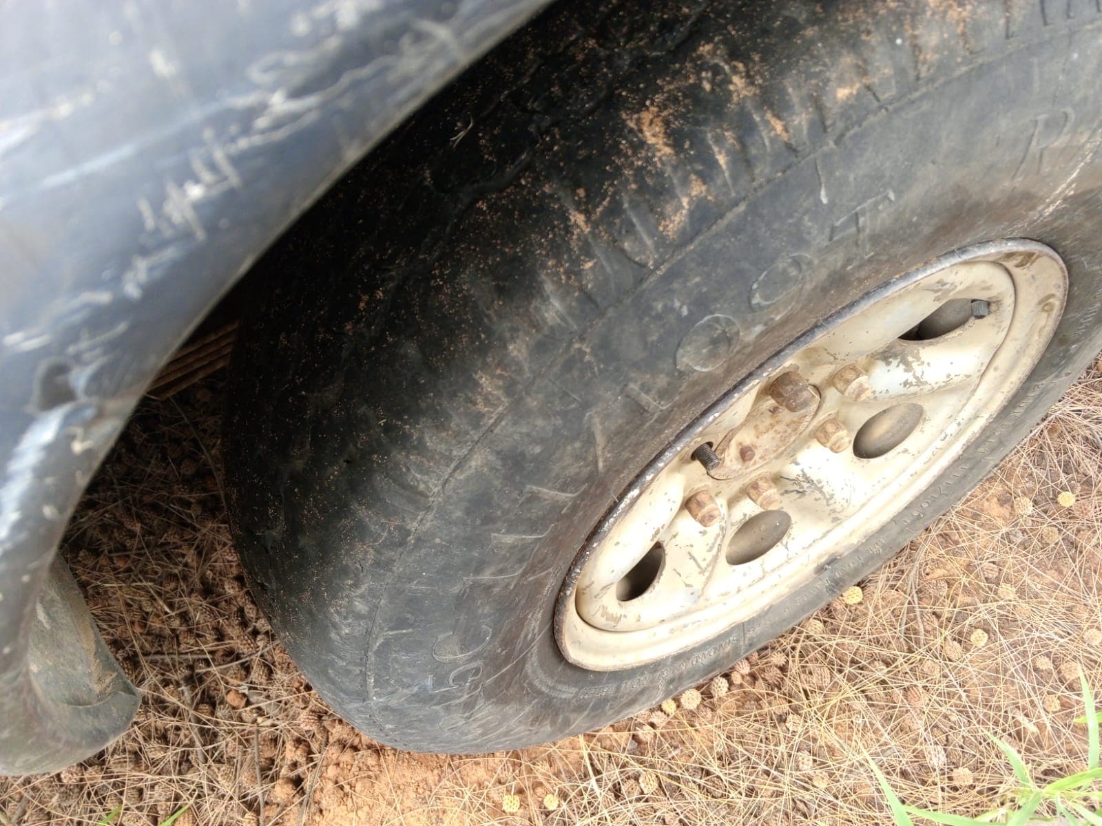 Nissan Hardbody — imagem 5