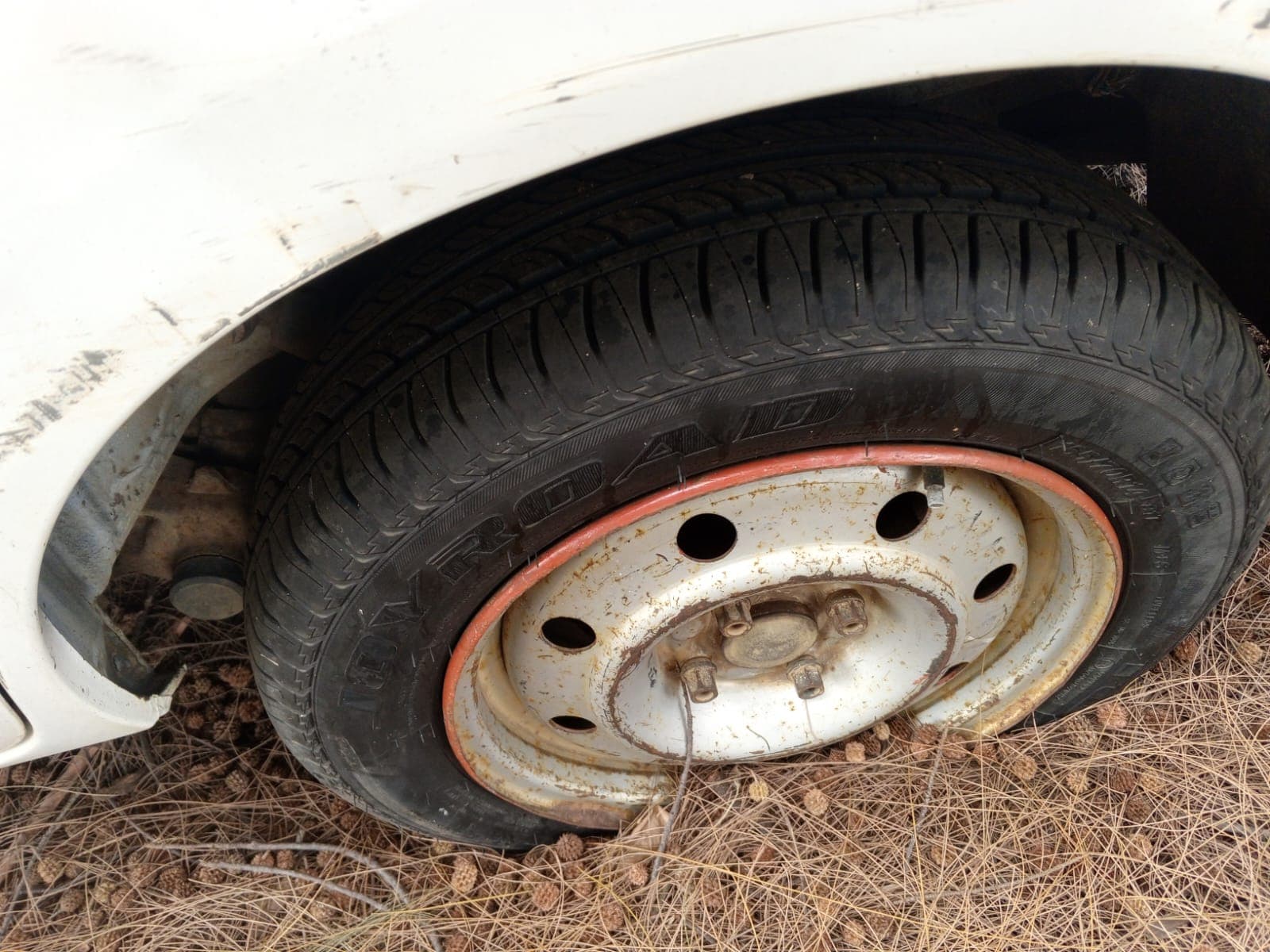 Renault Kangoo — imagen 4