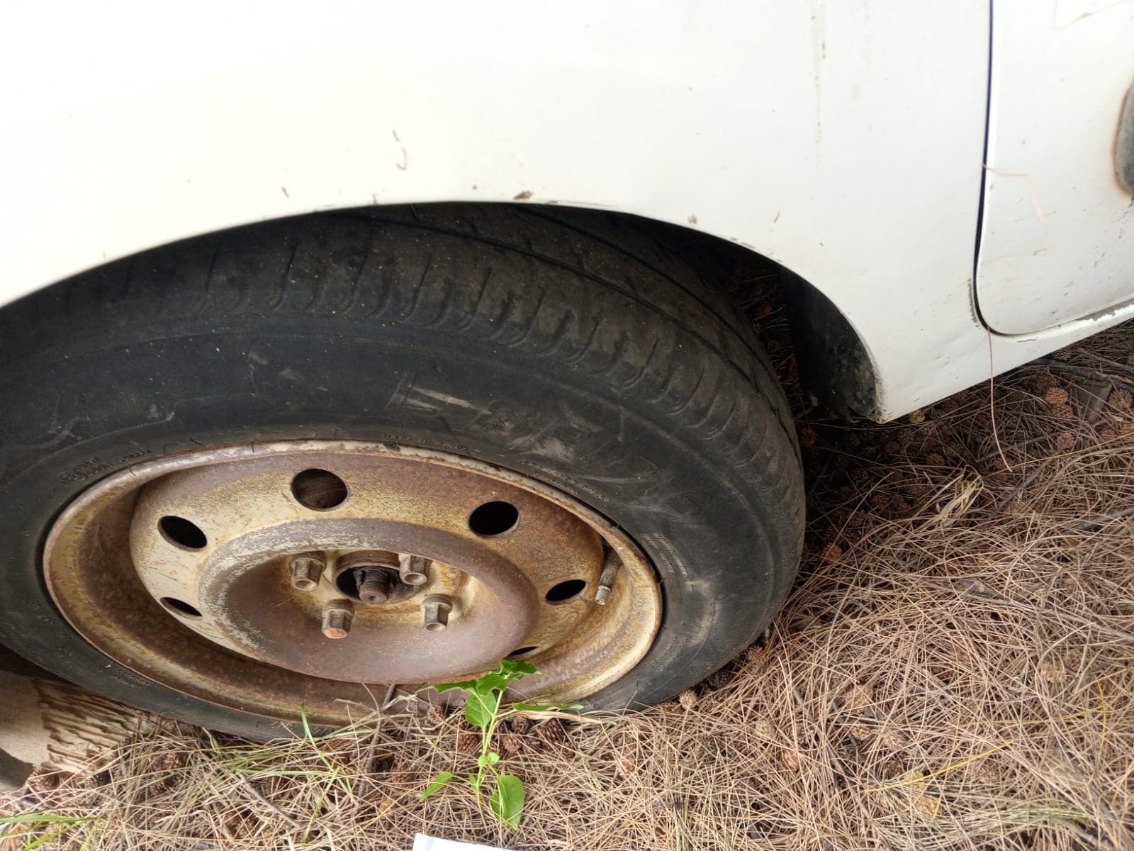 Renault Kangoo — imagen 5