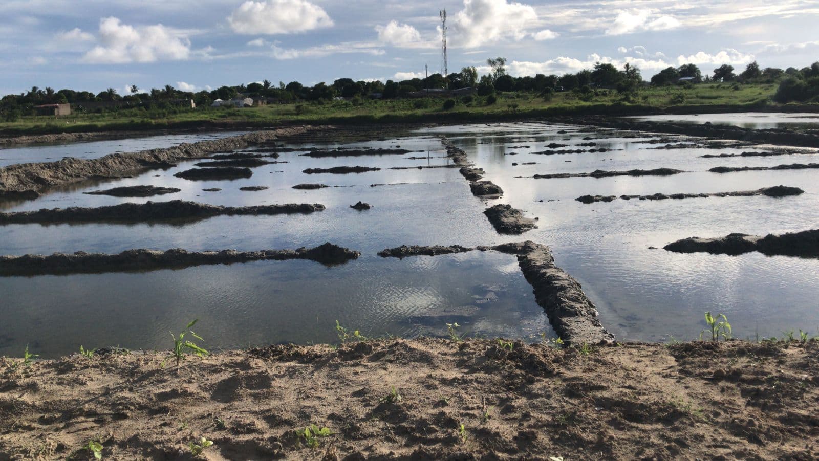 Infraestruturas e Salinas em Terreno de 15,687 Ha - Ilha de Moçambique — imagem 6