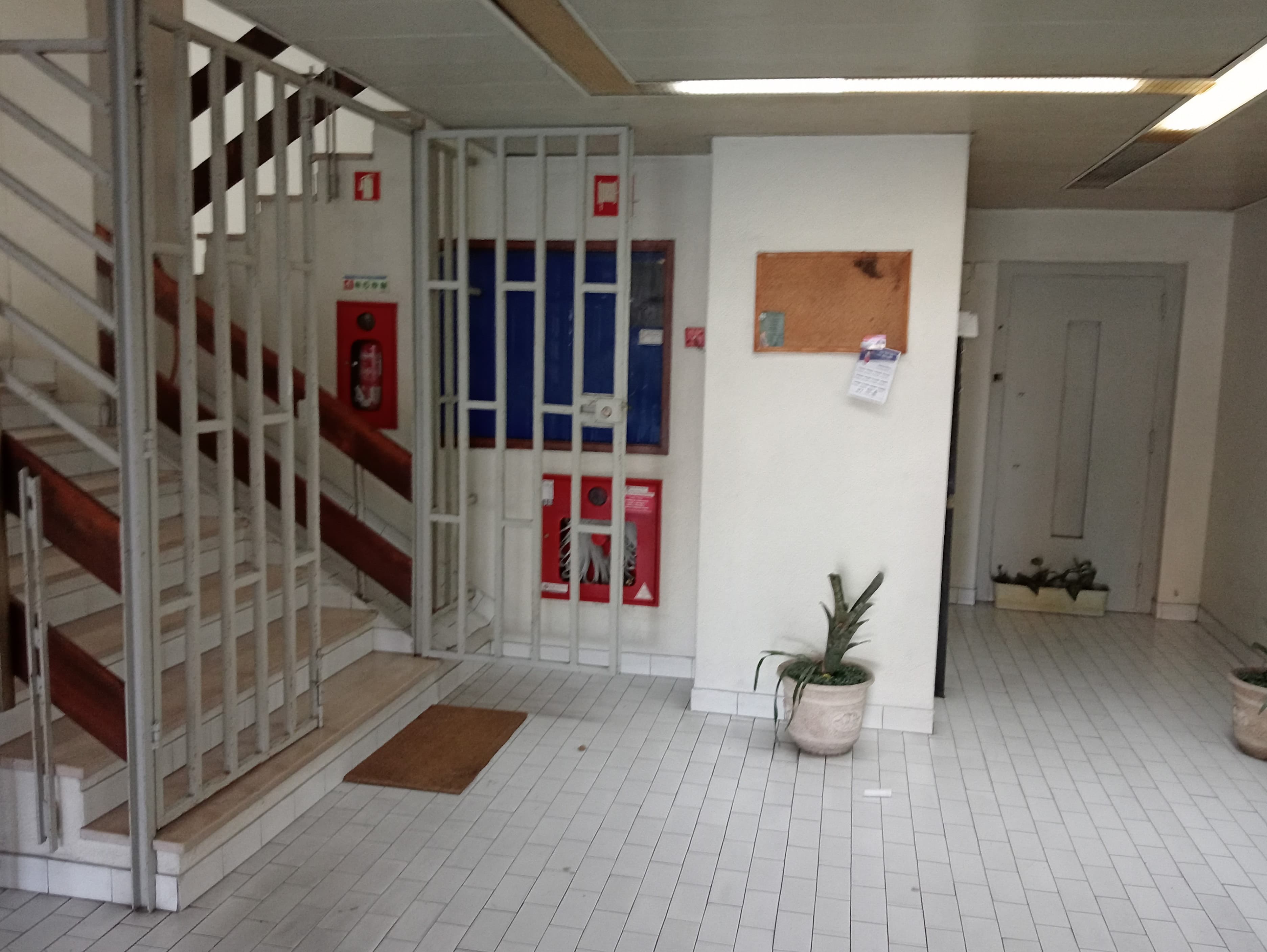Loja · Guimarães — imagen 4