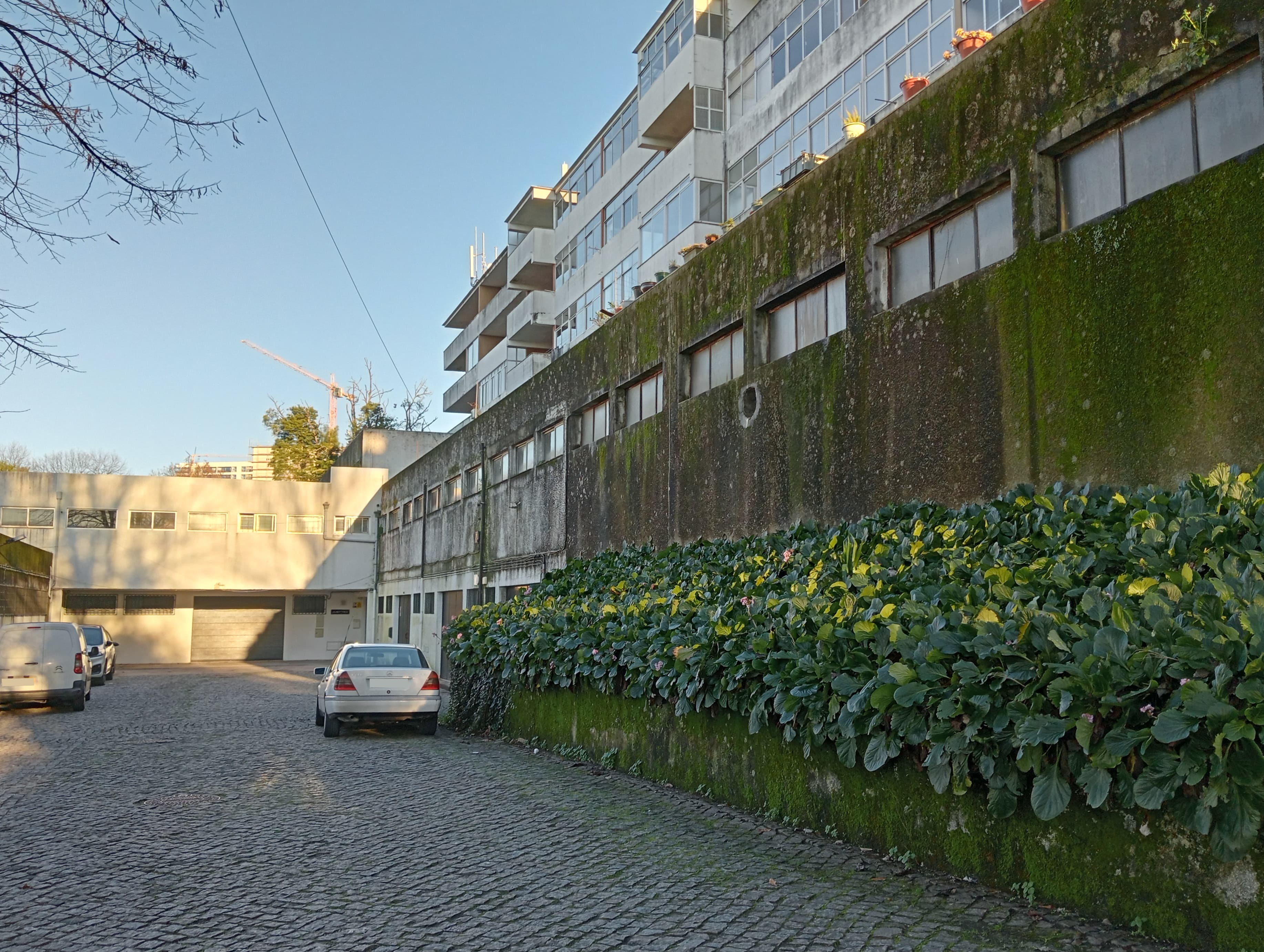 Loja · Guimarães — imagen 10