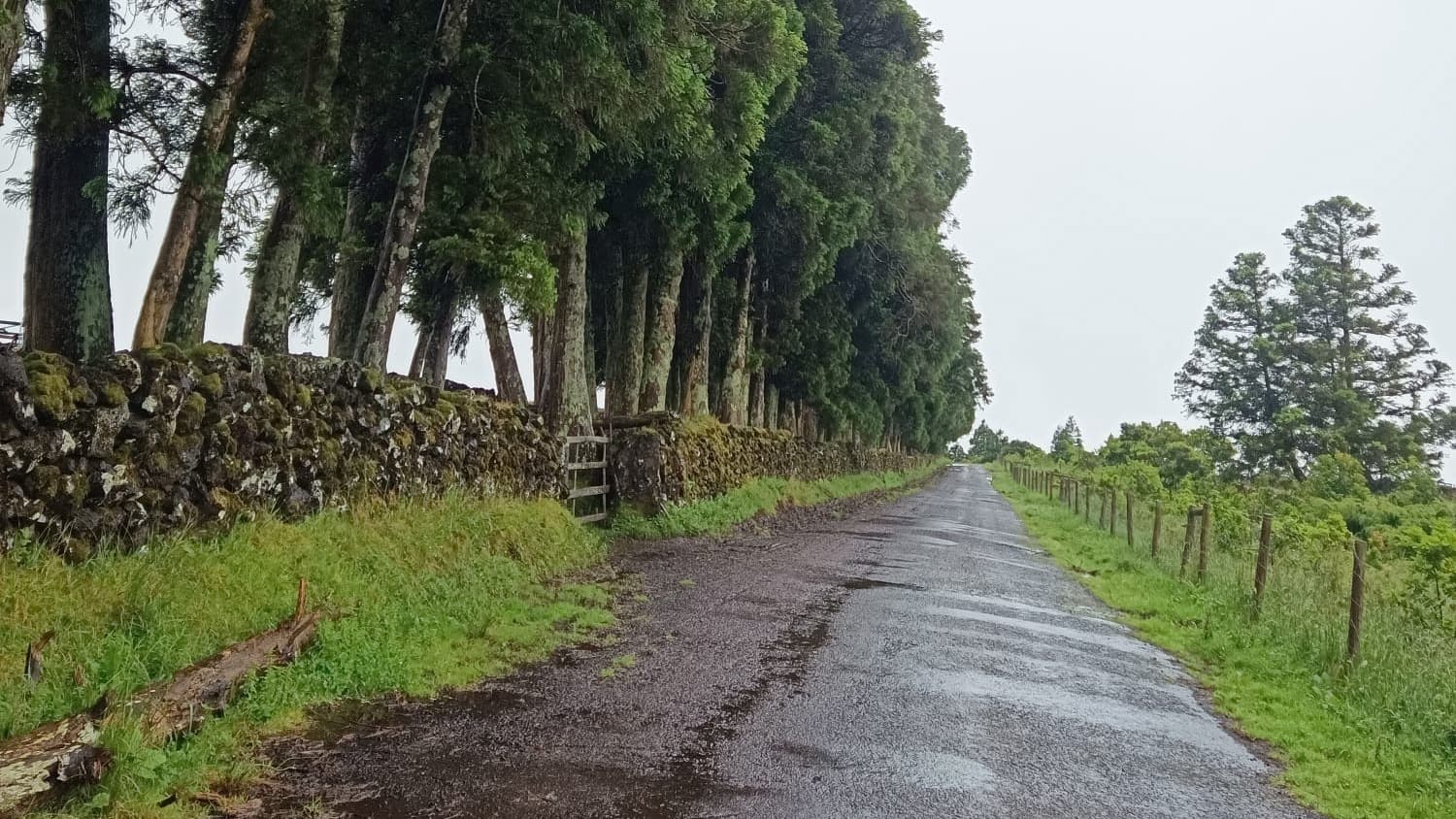 Quinhão Hereditário · Angra do Heroísmo, Açores — image 3