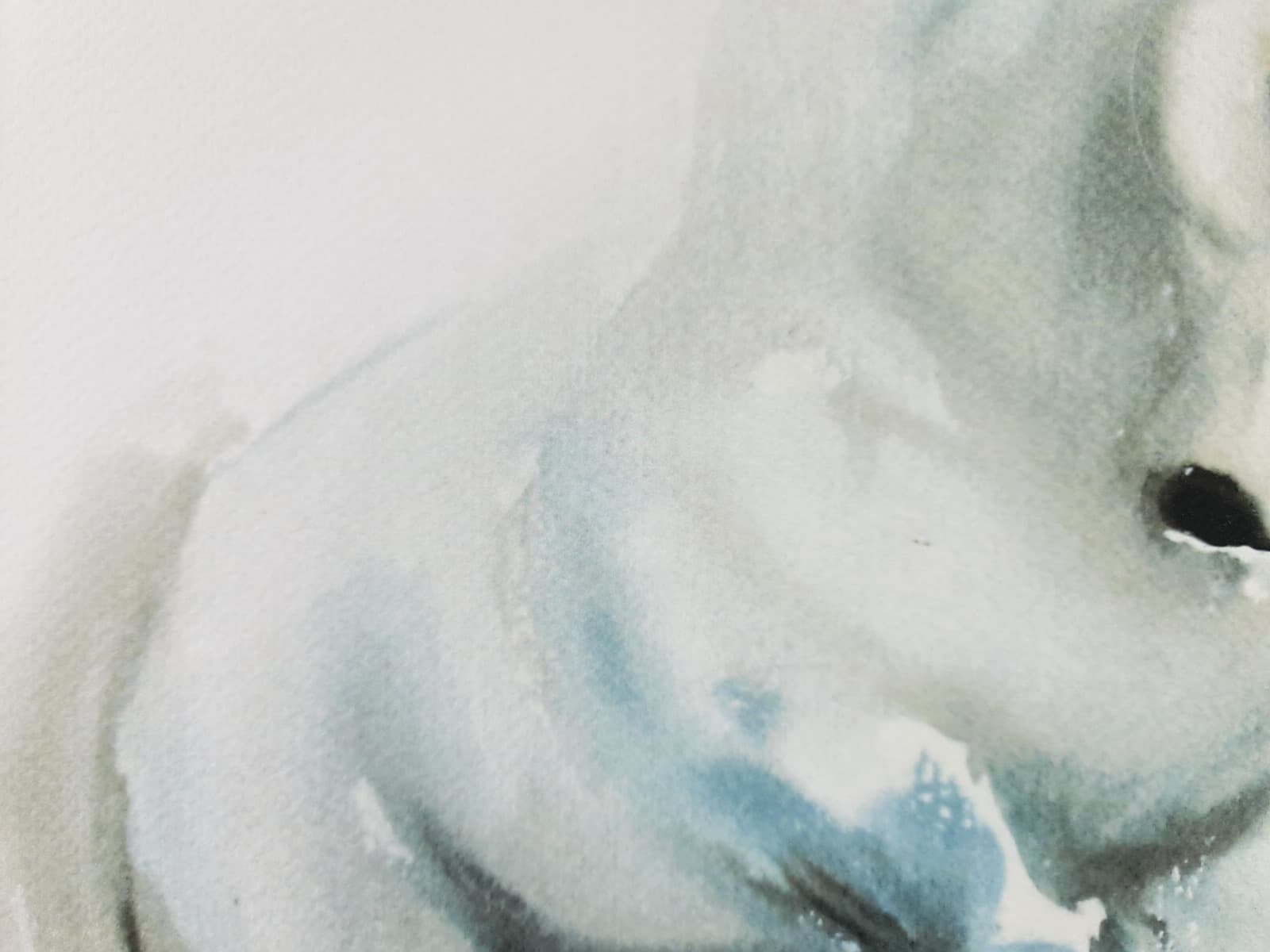 Aguarela · Paulo Violante — imagem 7
