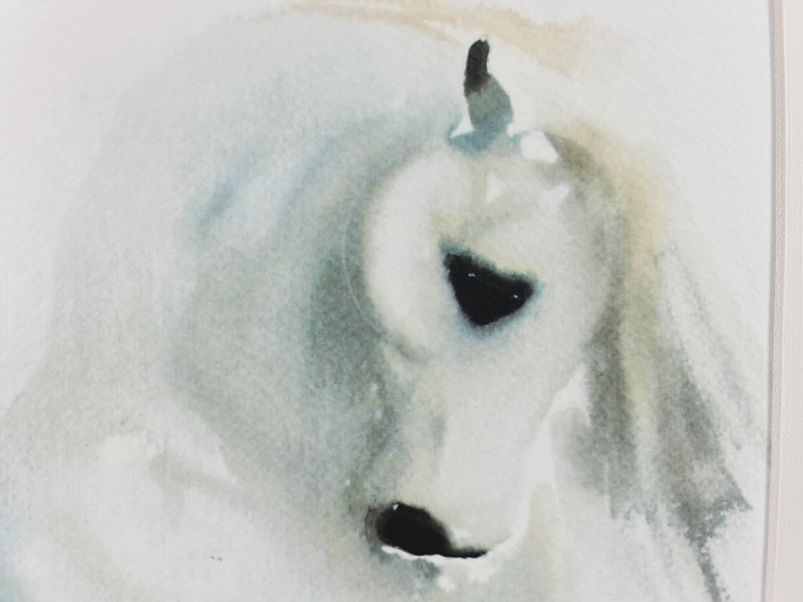 Aguarela · Paulo Violante — imagem 3