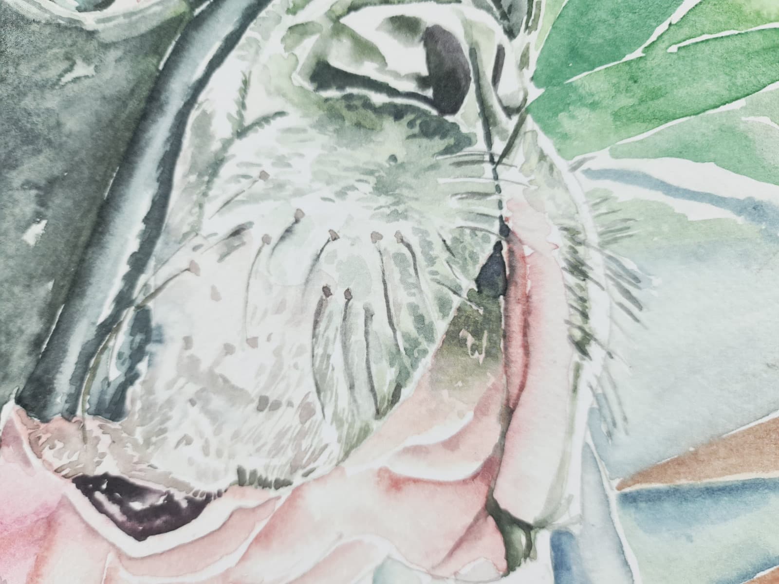Aguarela · Paulo Violante — image 8