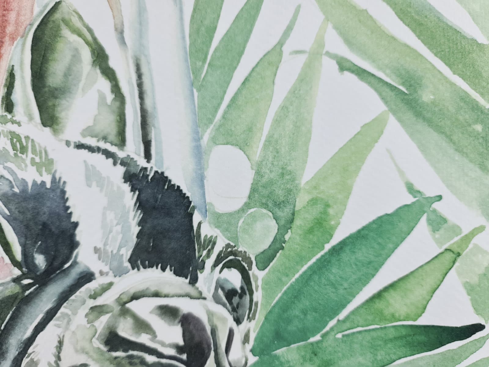 Aguarela · Paulo Violante — image 2