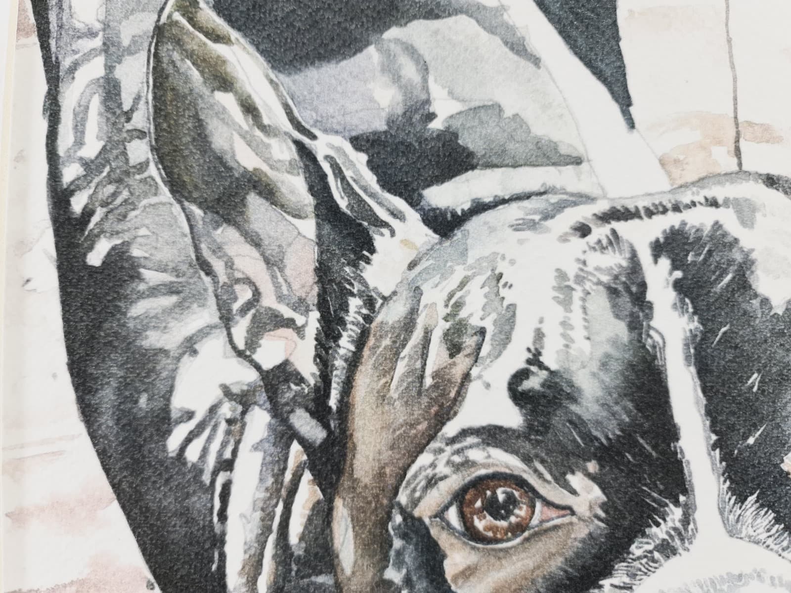 Aguarela · Paulo Violante — imagem 2