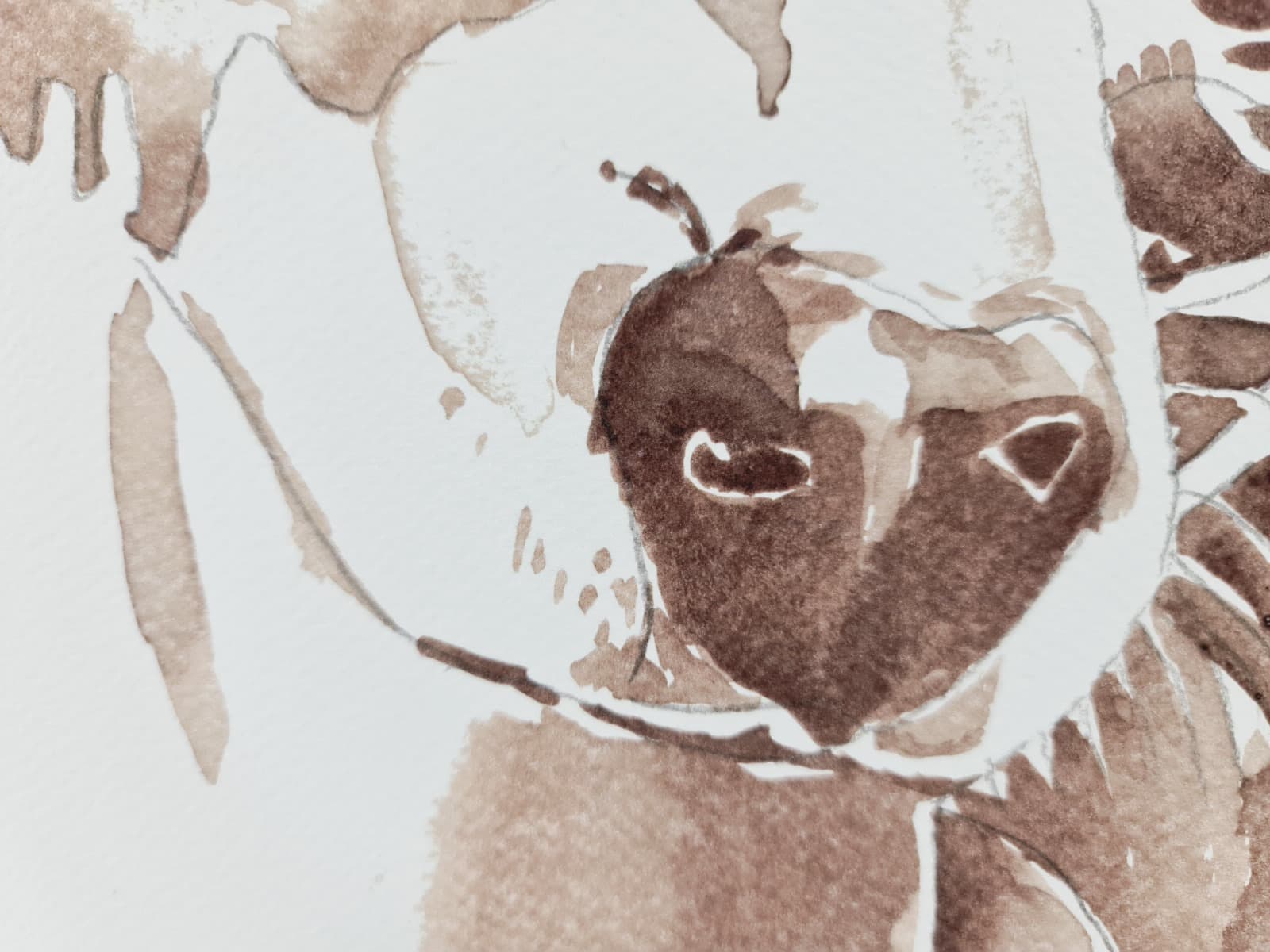 Aguarela · Paulo Violante — imagem 3