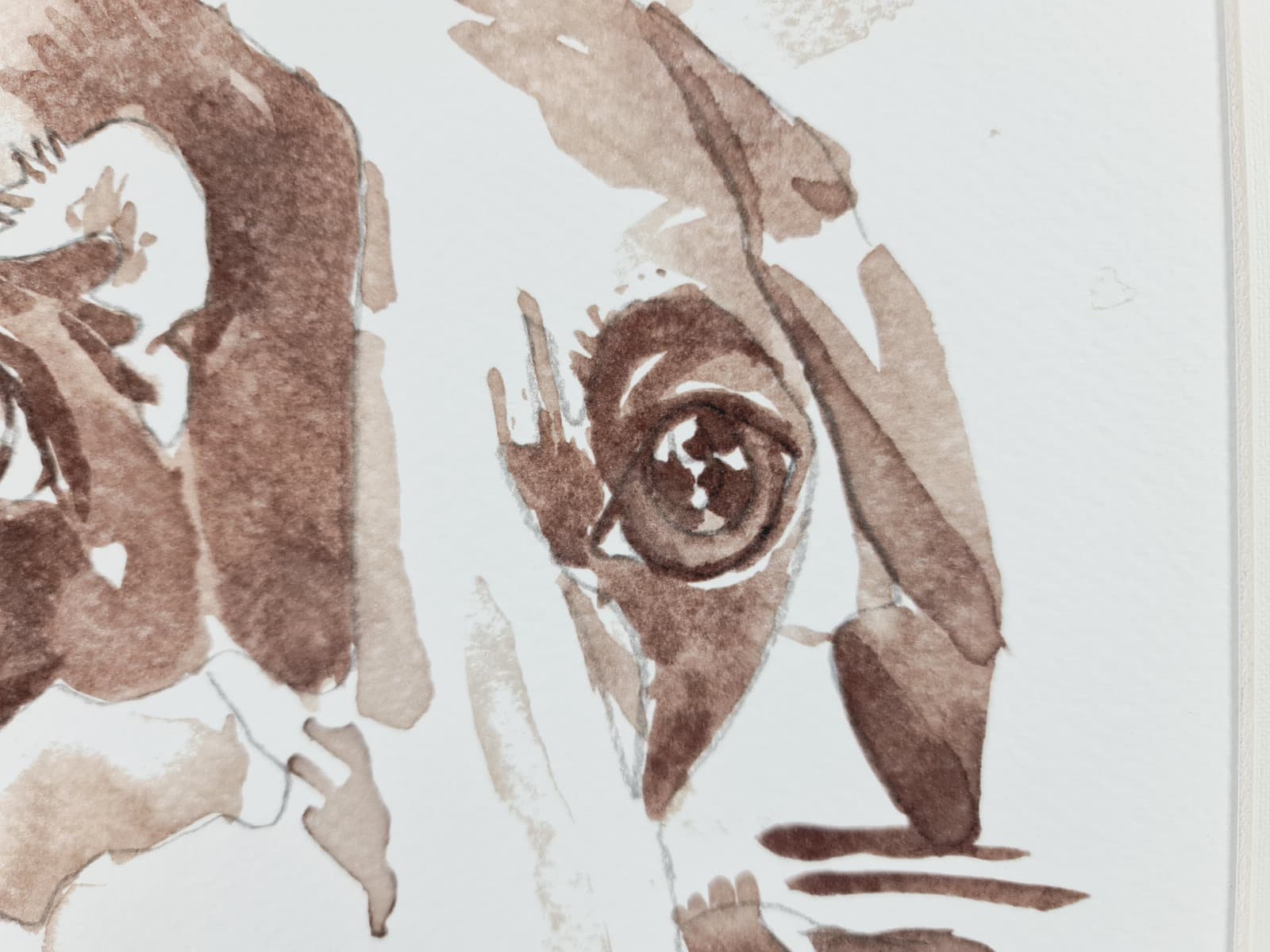 Aguarela · Paulo Violante — imagem 8