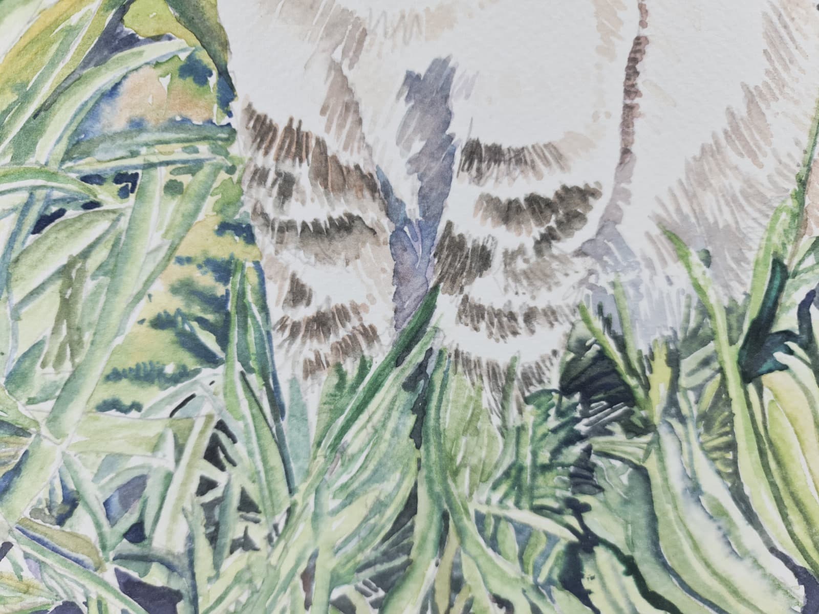 Watercolor · Paulo Violante — image 4