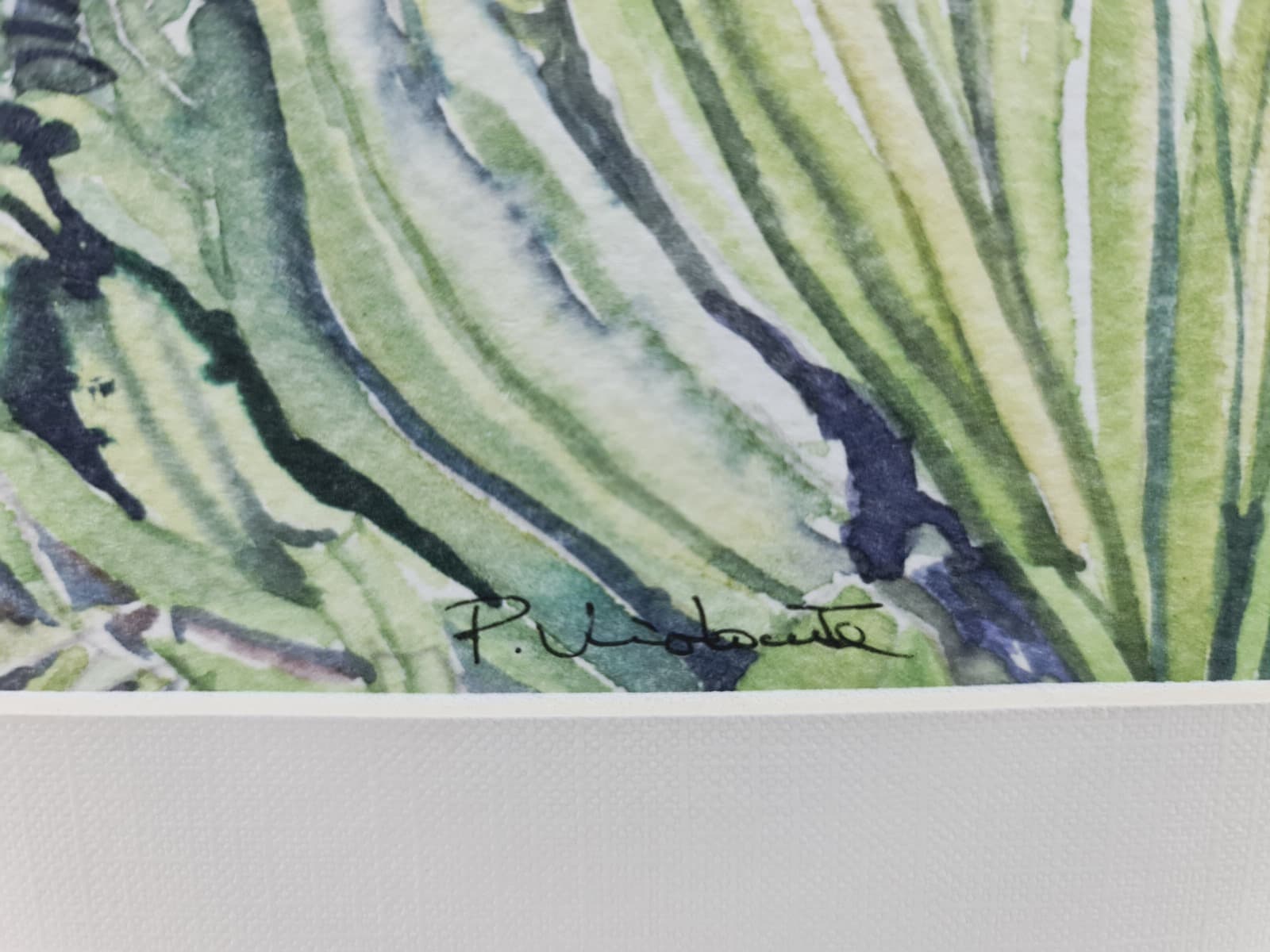 Watercolor · Paulo Violante — image 7