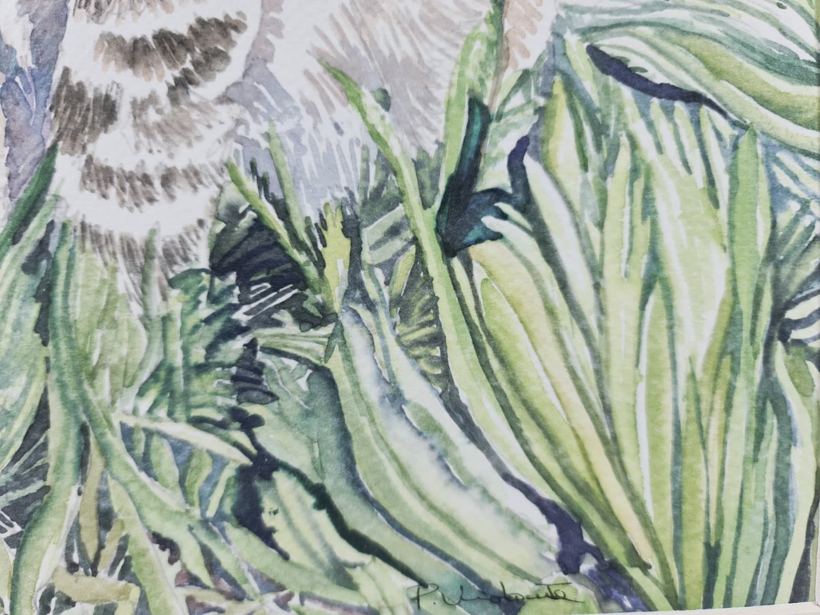 Watercolor · Paulo Violante — image 8