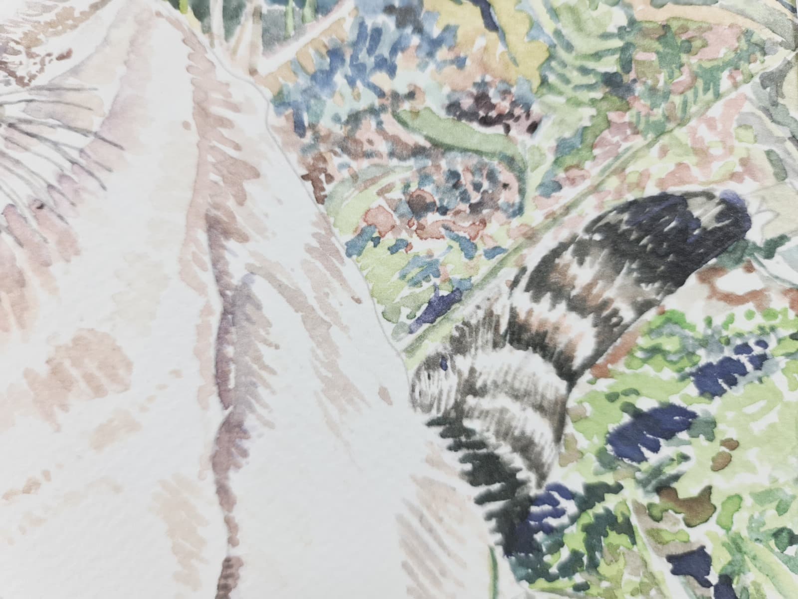 Watercolor · Paulo Violante — image 2