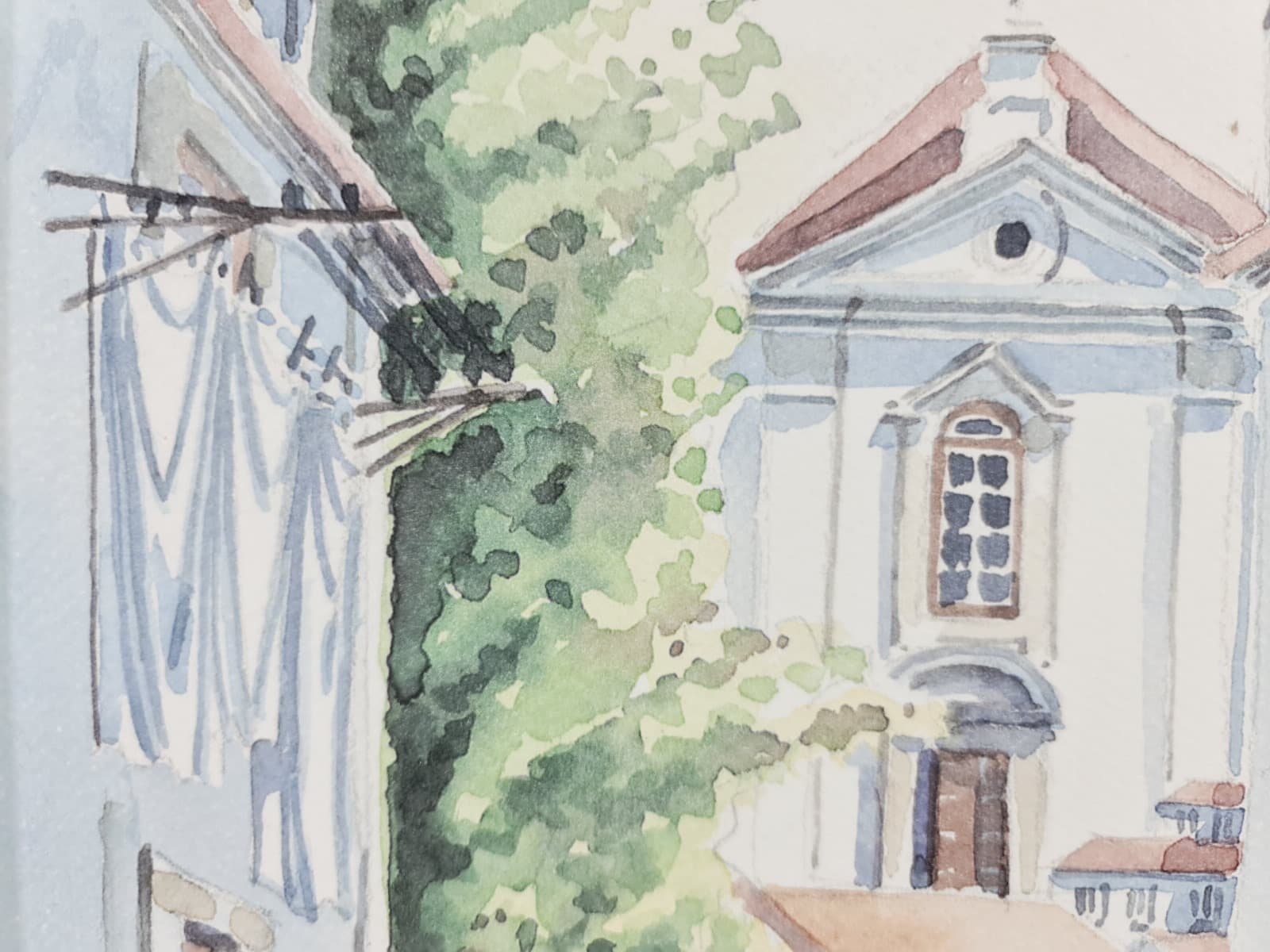 Aguarela · Paulo Violante — image 9