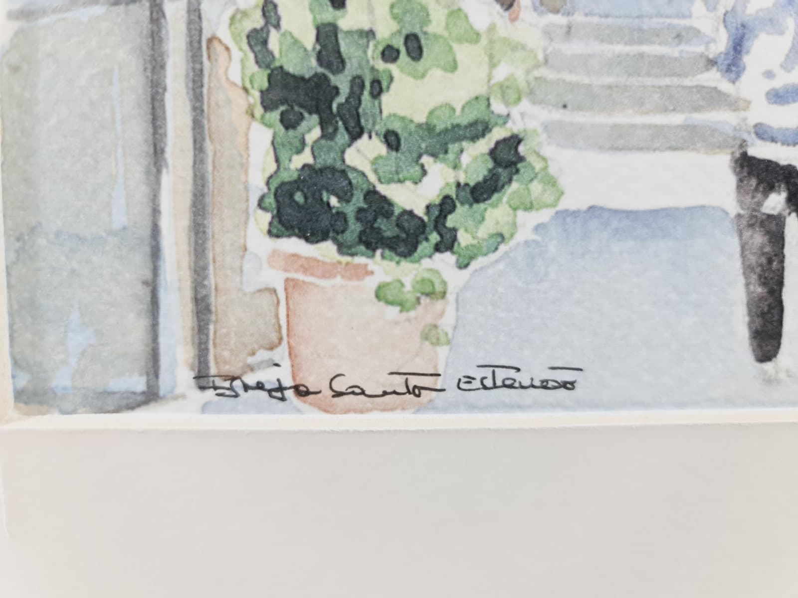 Aguarela · Paulo Violante — image 2