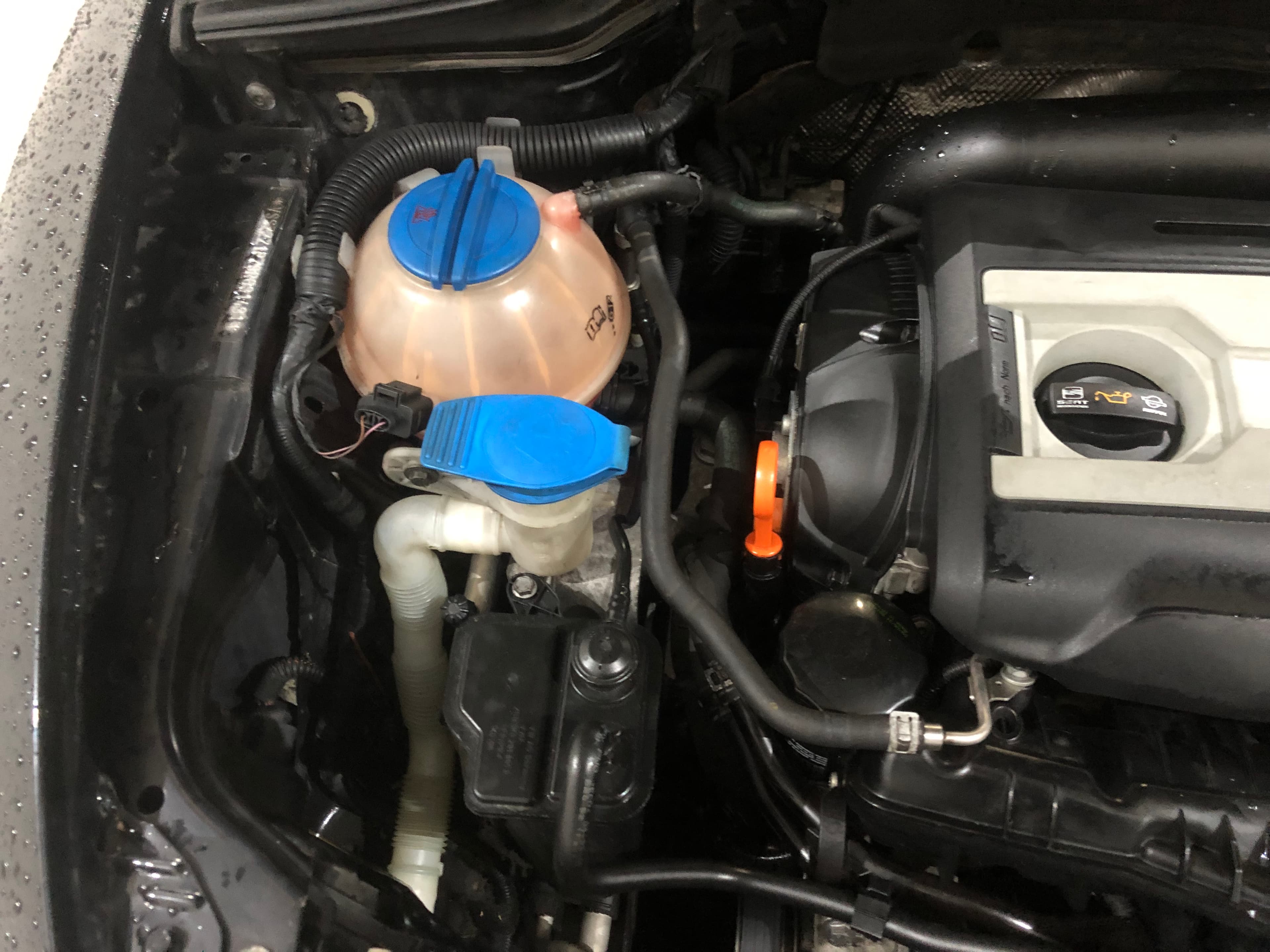 Seat Leon · Ano 2008 — imagen 14