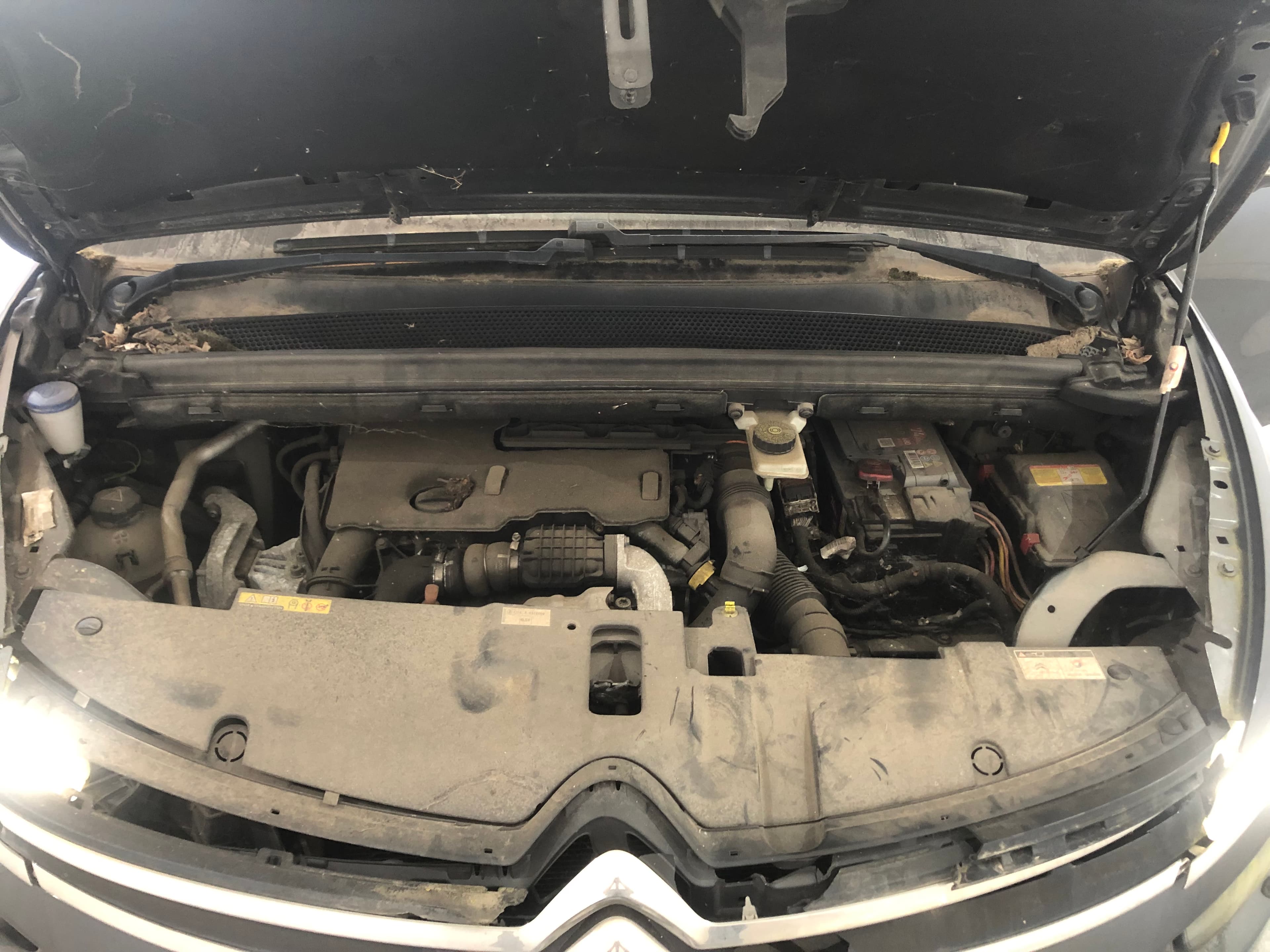 Citroën C4 · Ano 2014 — imagem 16