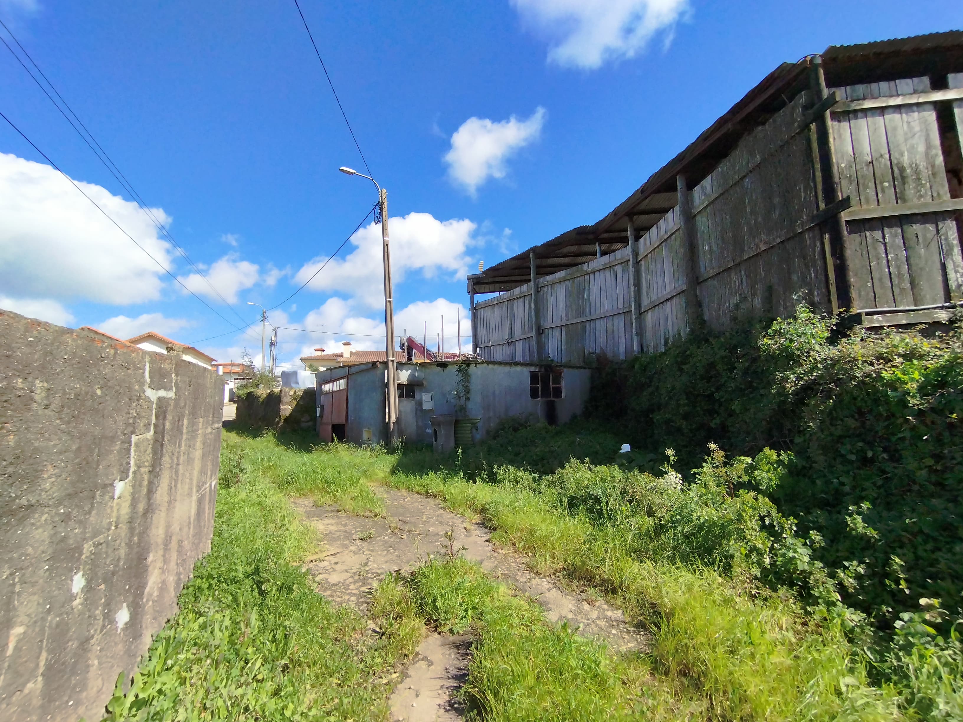 Edifício Agrícola · Ovar — imagem 9