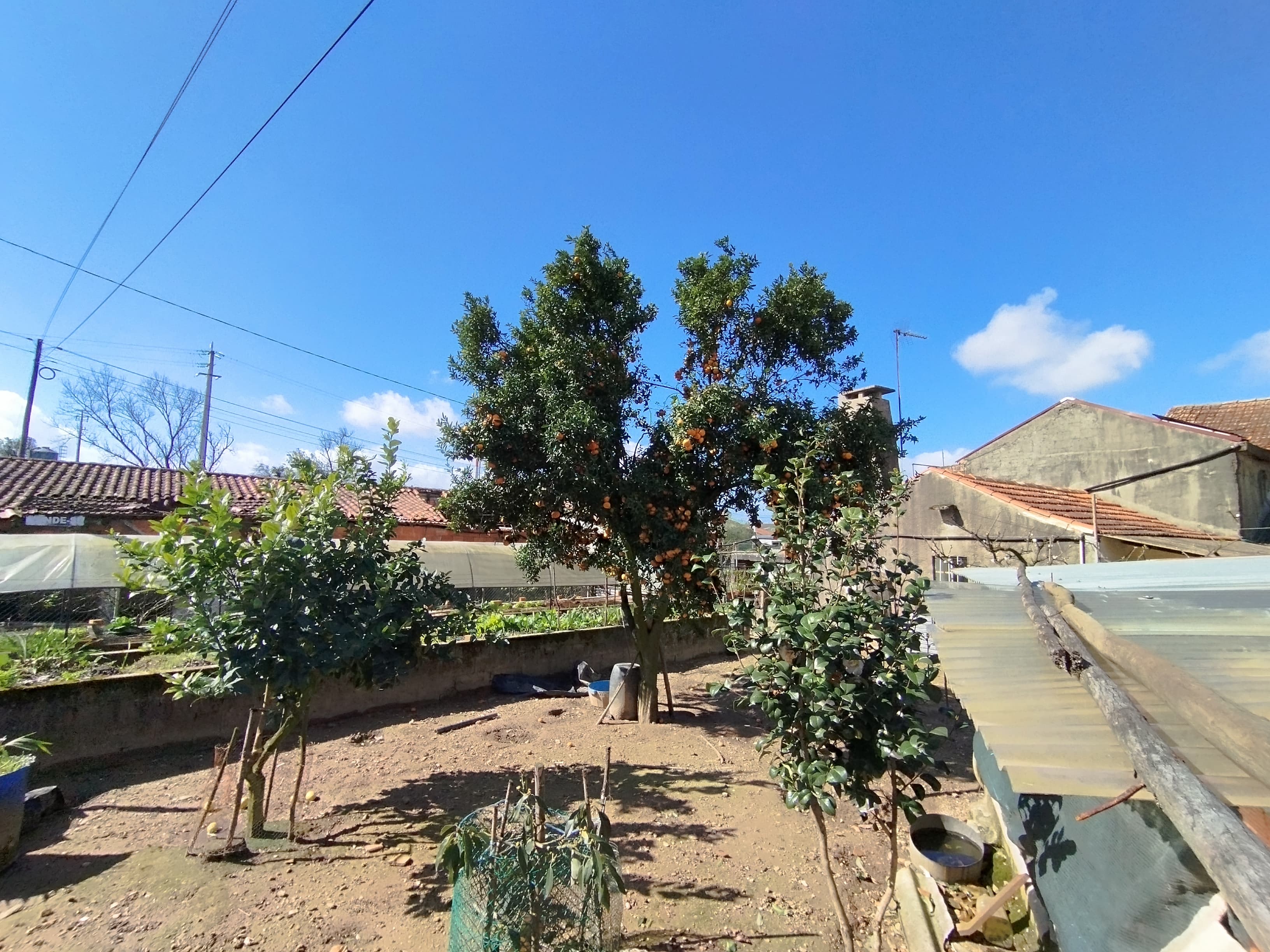 Edifício Agrícola · Ovar — imagem 3