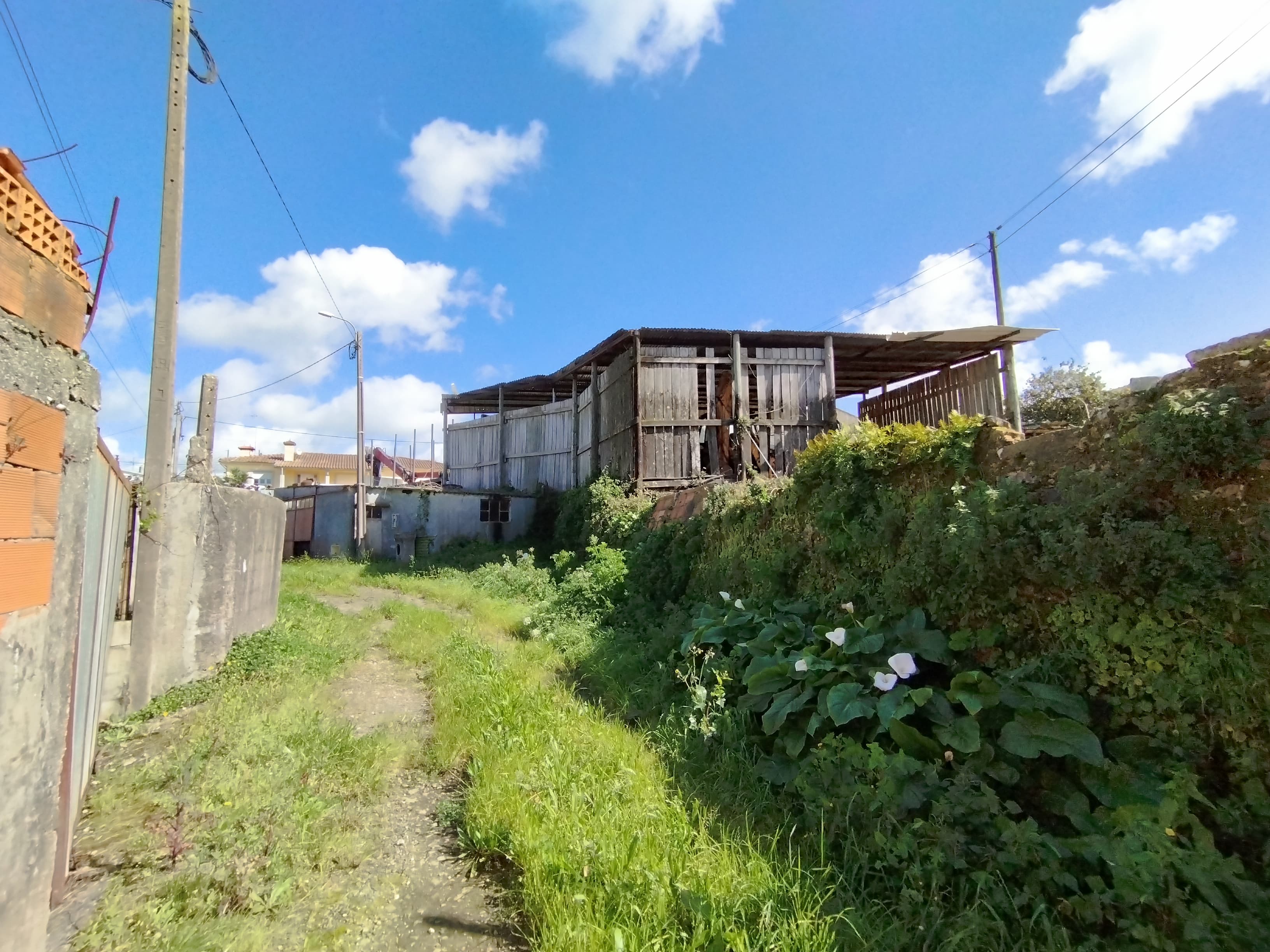 Edifício Agrícola · Ovar — imagem 10