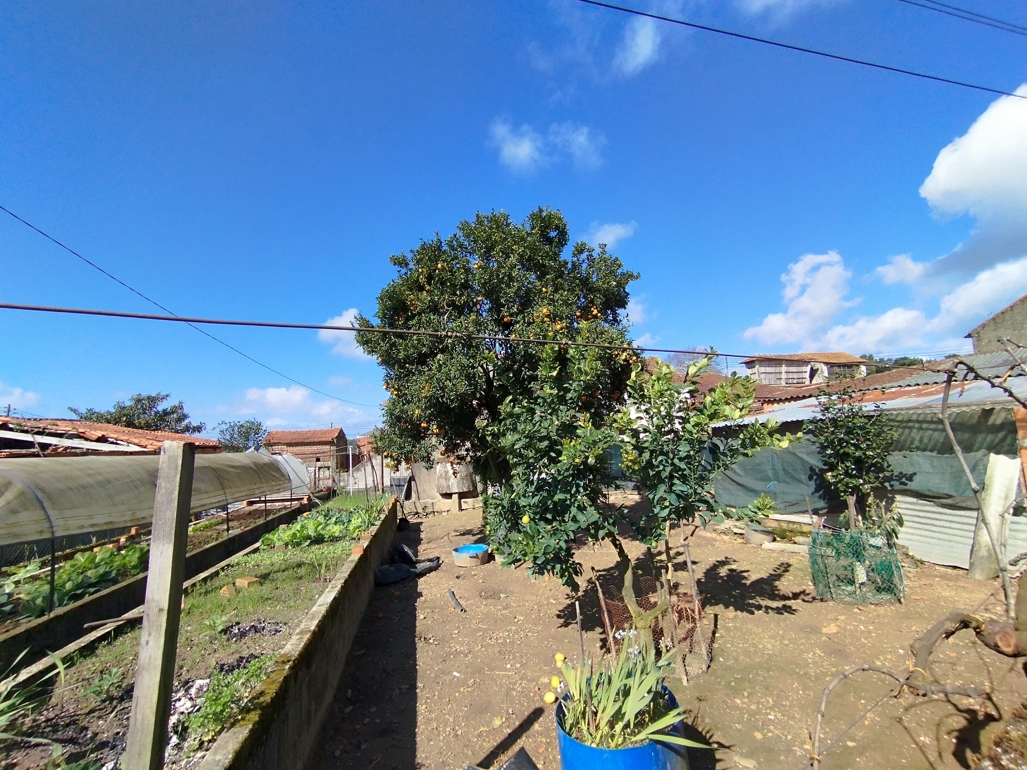 Edifício Agrícola · Ovar — imagem 7