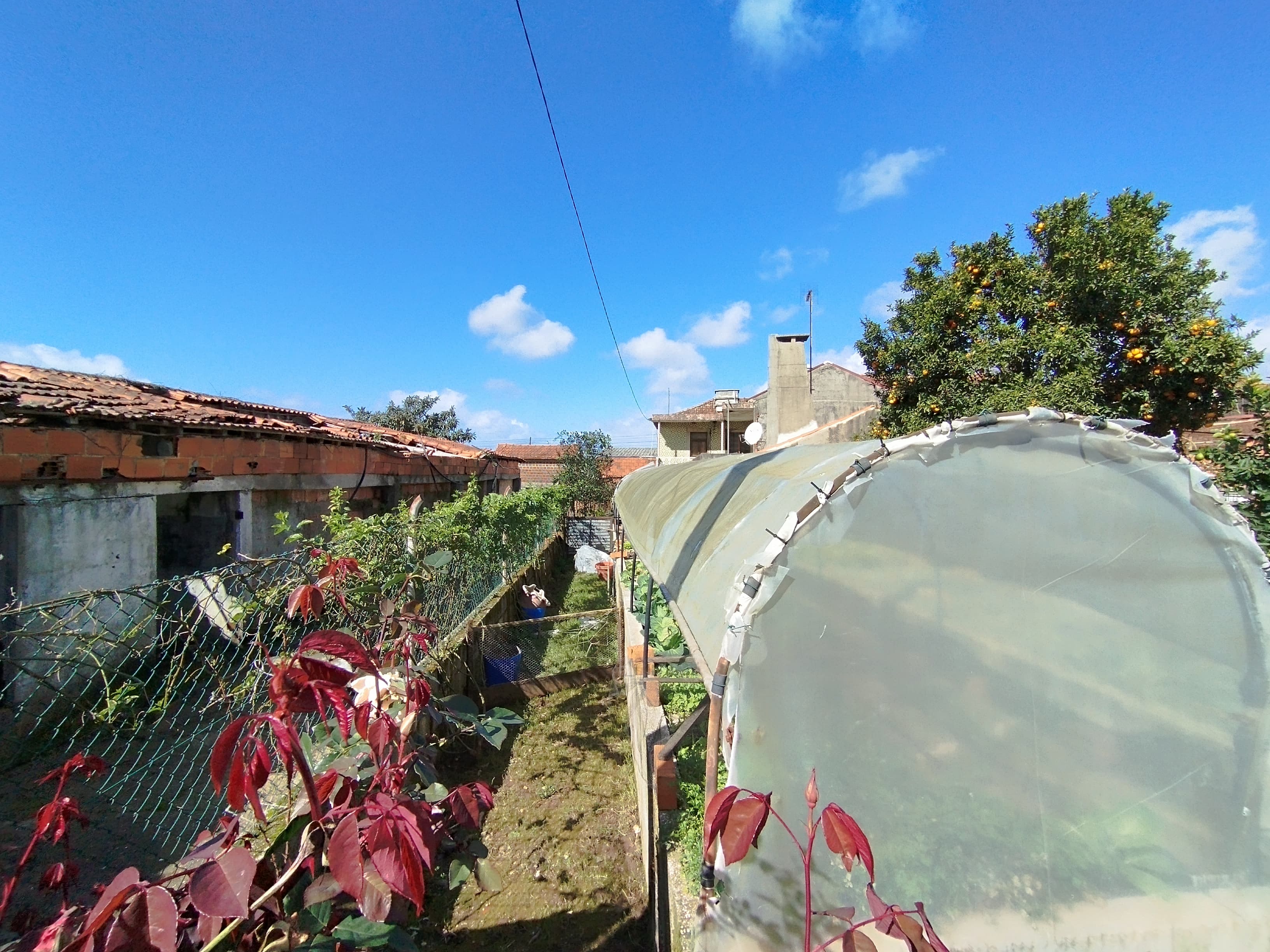 Edifício Agrícola · Ovar — imagem 6