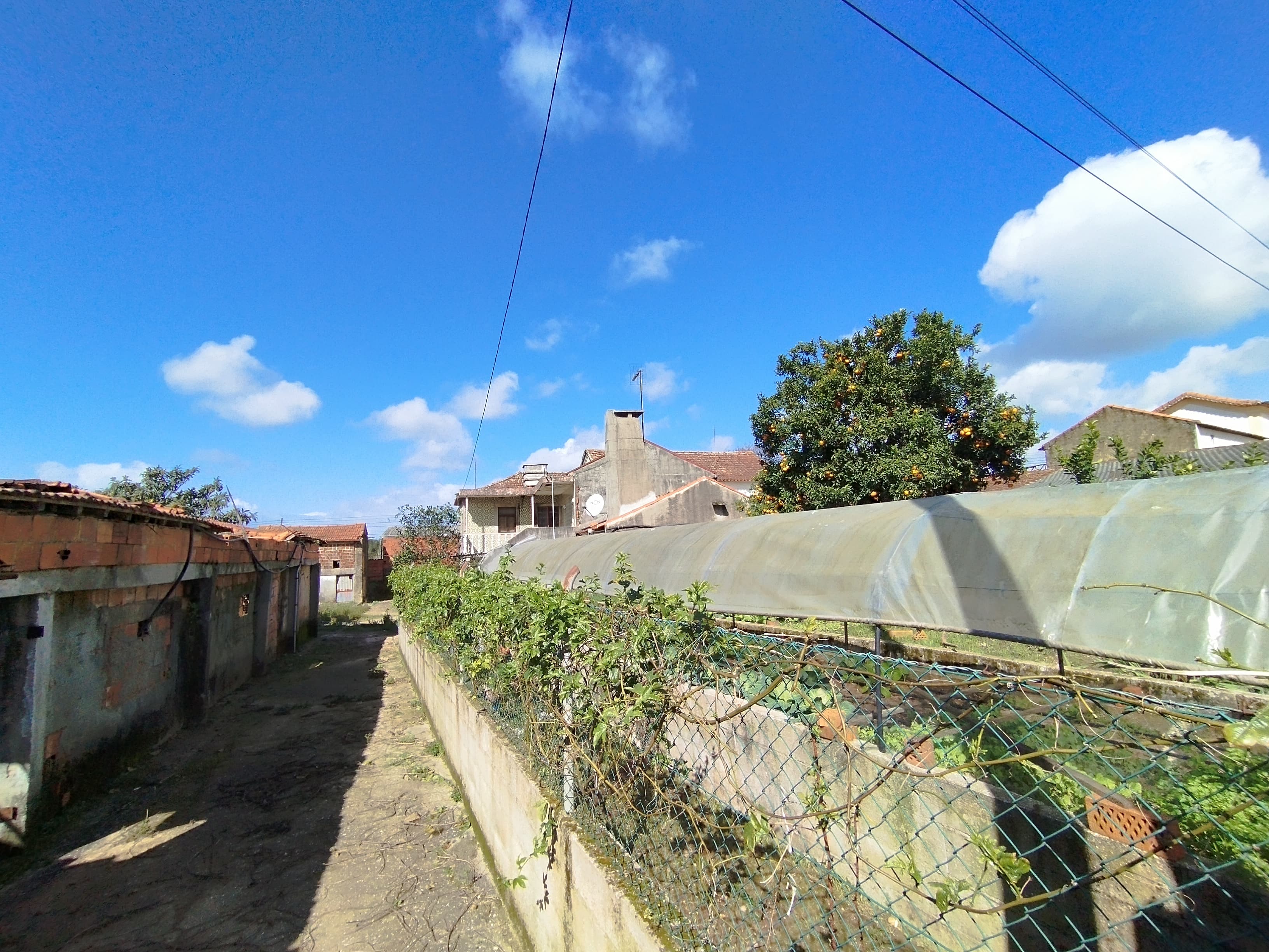 Edifício Agrícola · Ovar — imagem 4