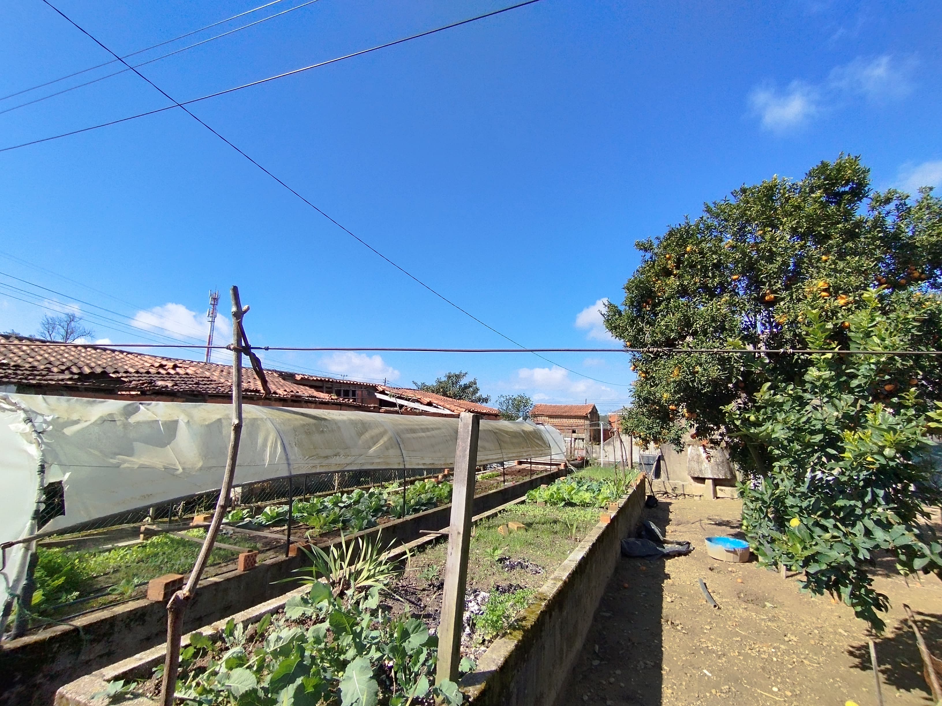Edifício Agrícola · Ovar — imagem 8