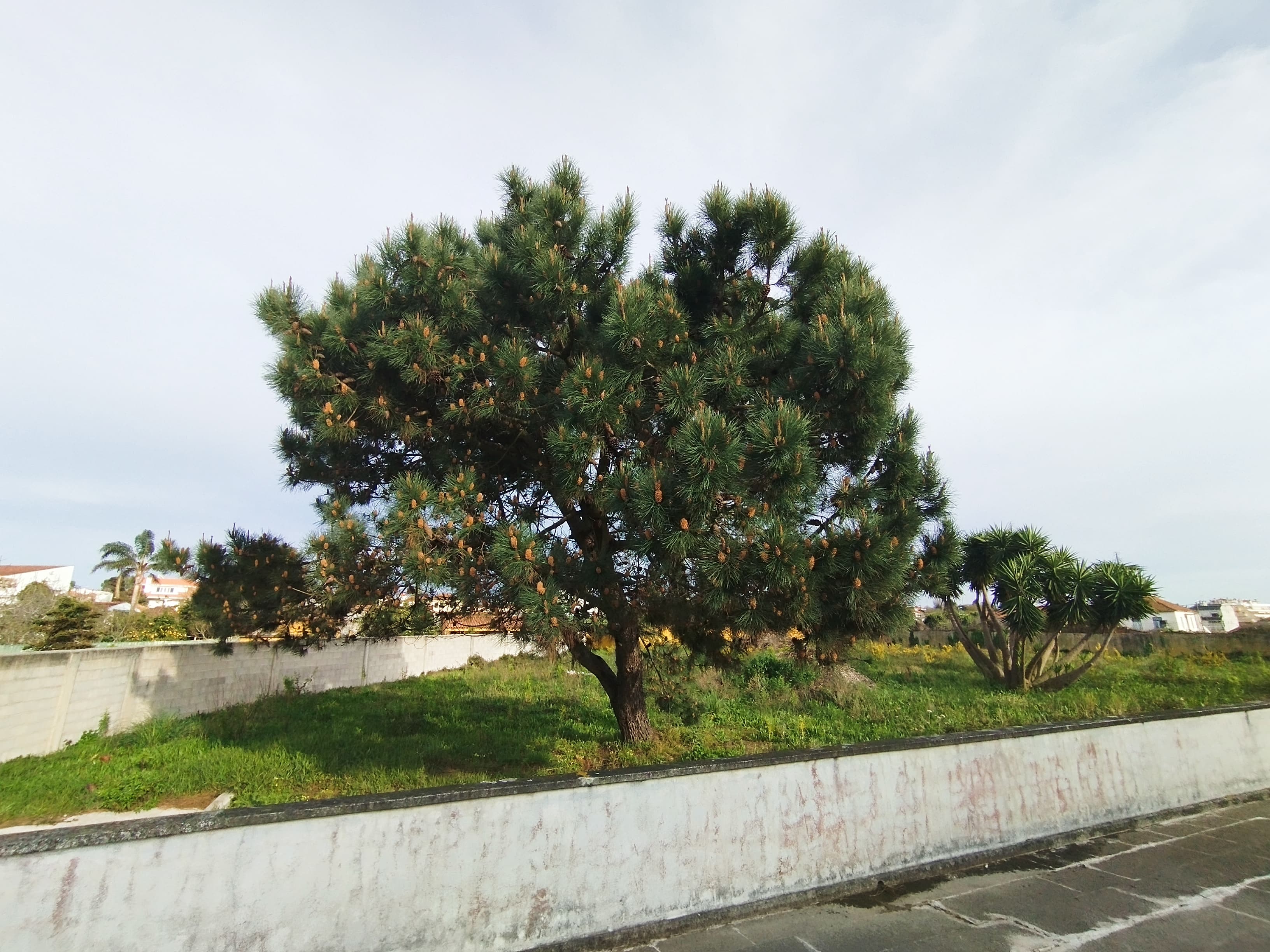 Moradia V5 · Esmoriz, Ovar — imagen 14