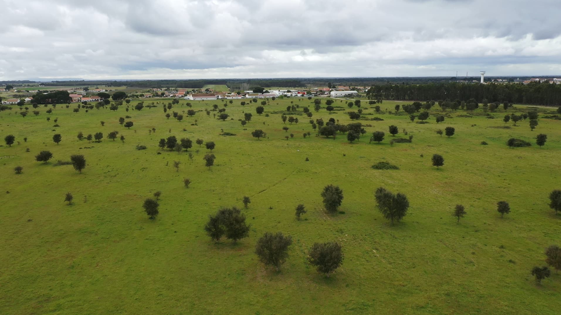 Terreno c/ 52,3 ha · Montijo — imagem 5