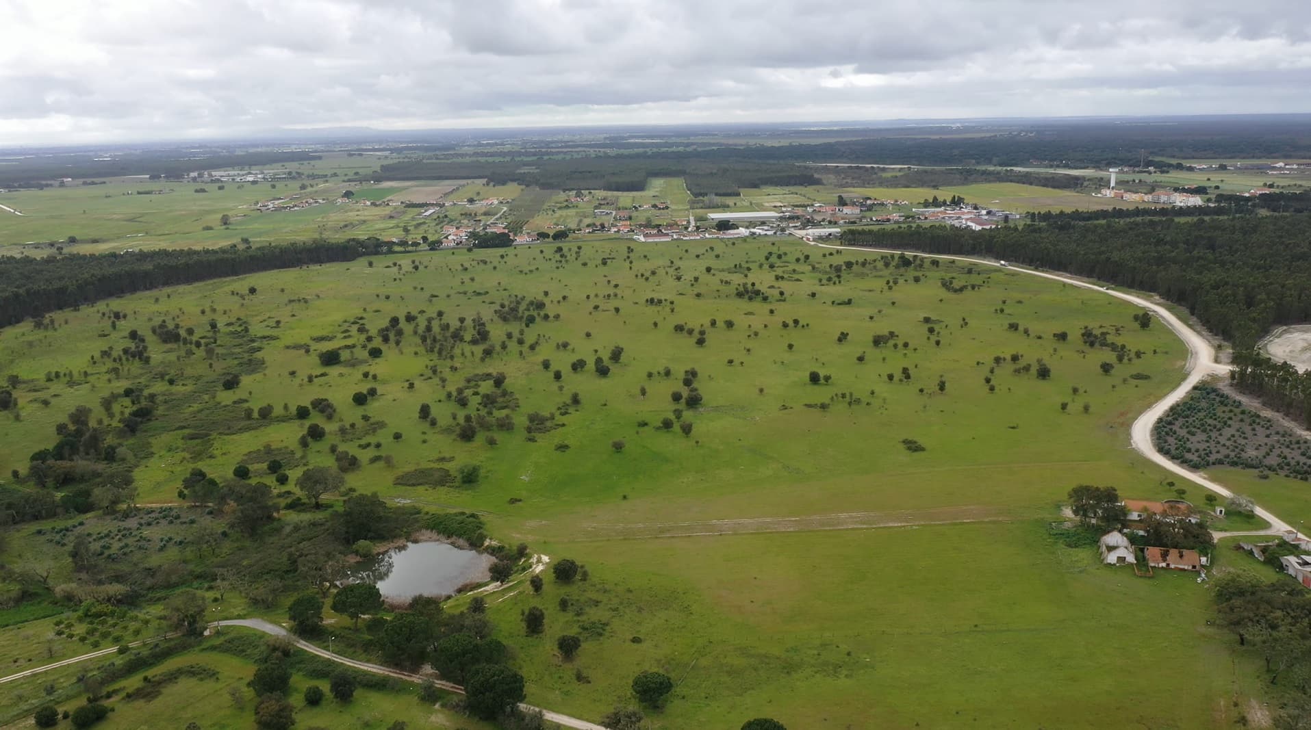 Terreno c/ 52,3 ha · Montijo — imagem 3