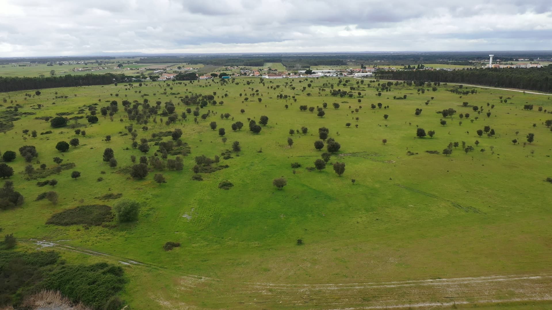 Terreno c/ 52,3 ha · Montijo — imagem 4