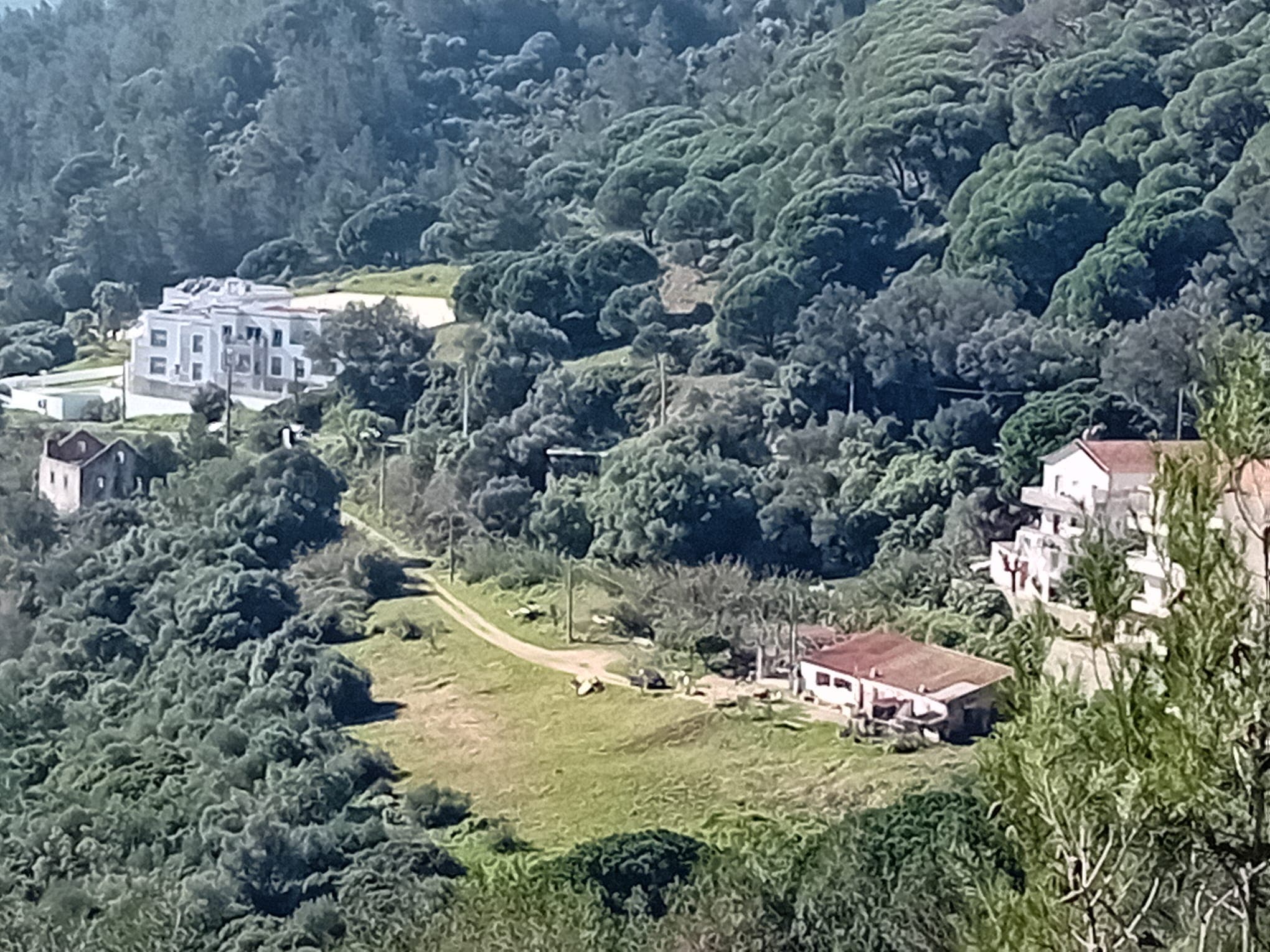 Terreno c/ 3,5 hectares · Sesimbra — imagen 6