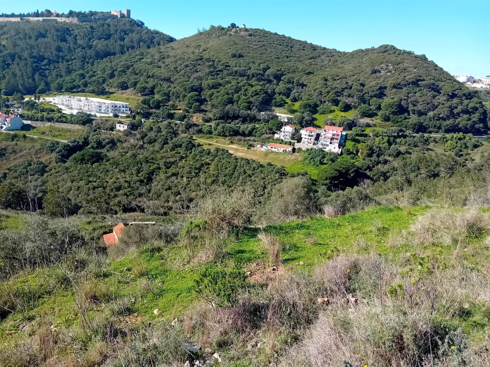 Terreno c/ 3,5 hectares · Sesimbra — imagen 3