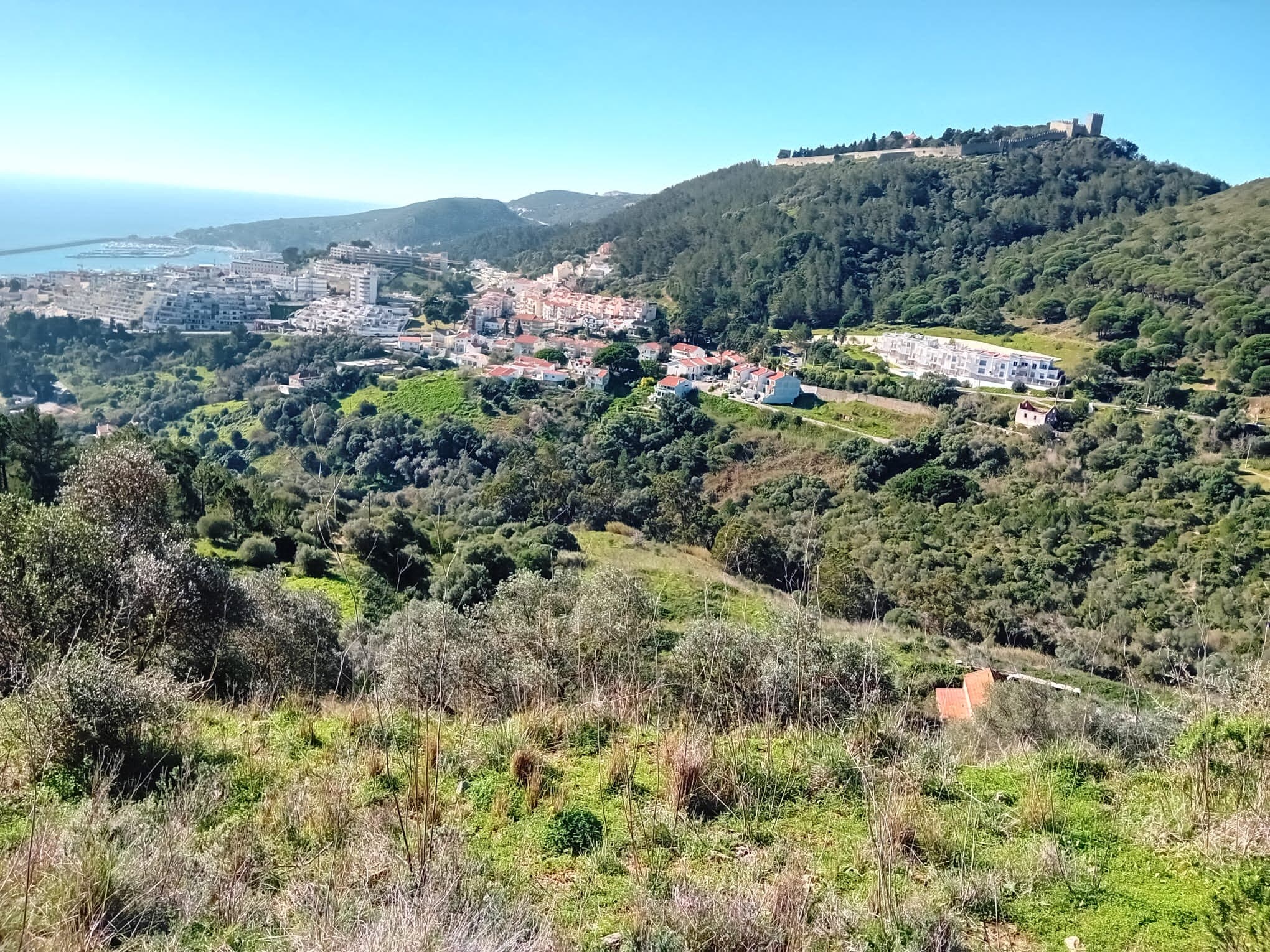 Terreno c/ 3,5 hectares · Sesimbra — imagen 2