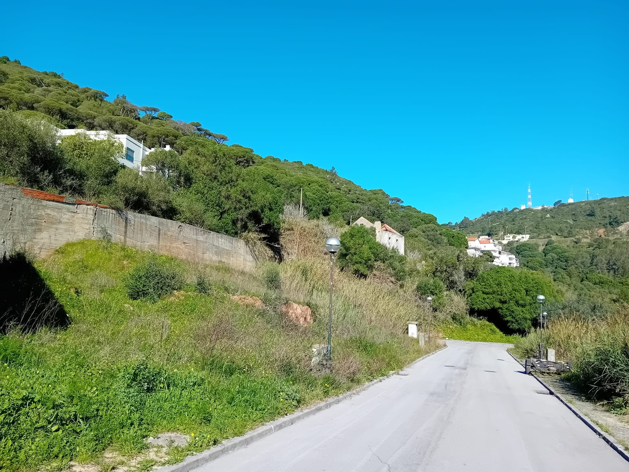 Terreno c/ 3,5 hectares · Sesimbra — imagen 4