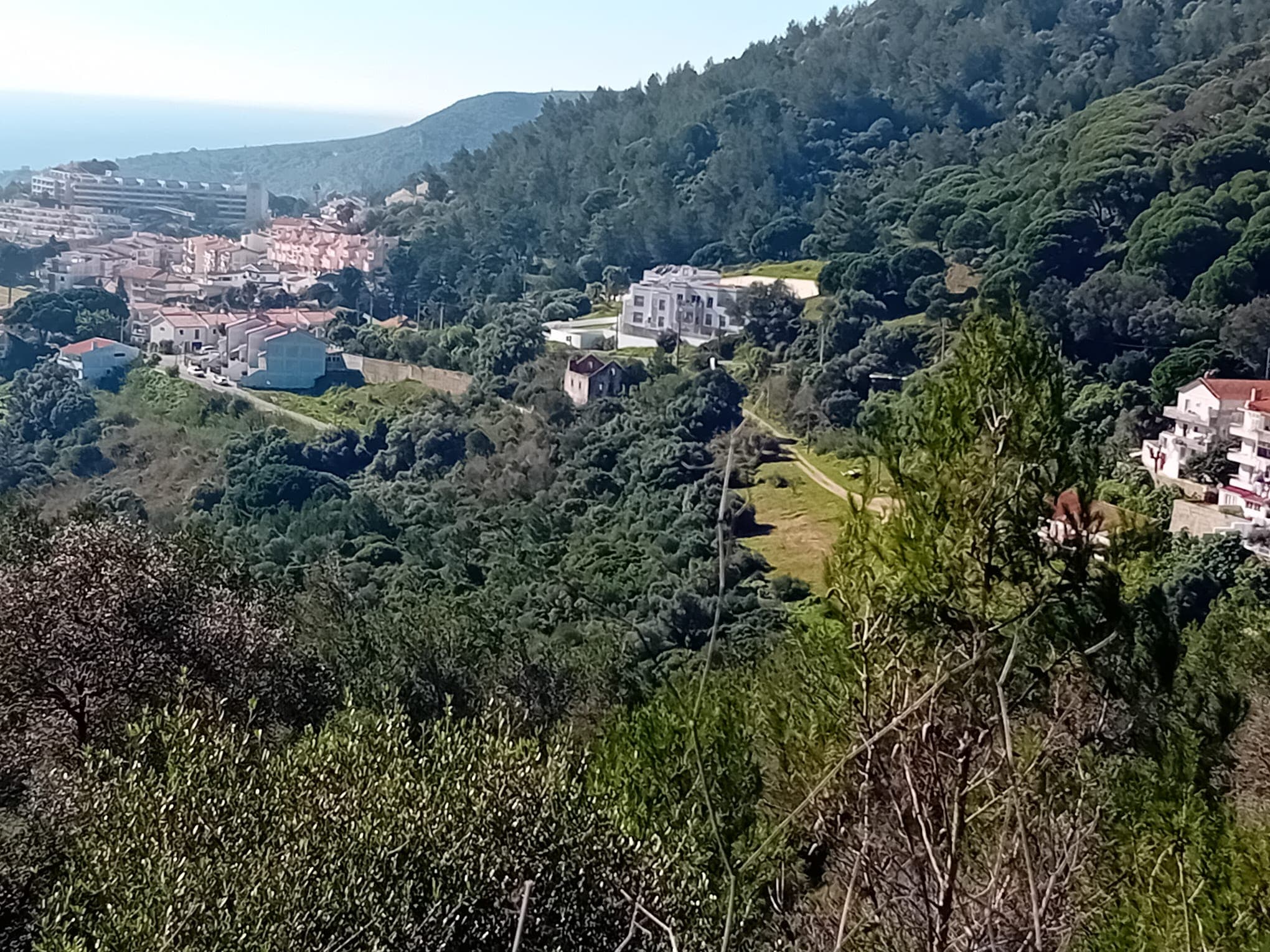 Terreno c/ 3,5 hectares · Sesimbra — imagen 7