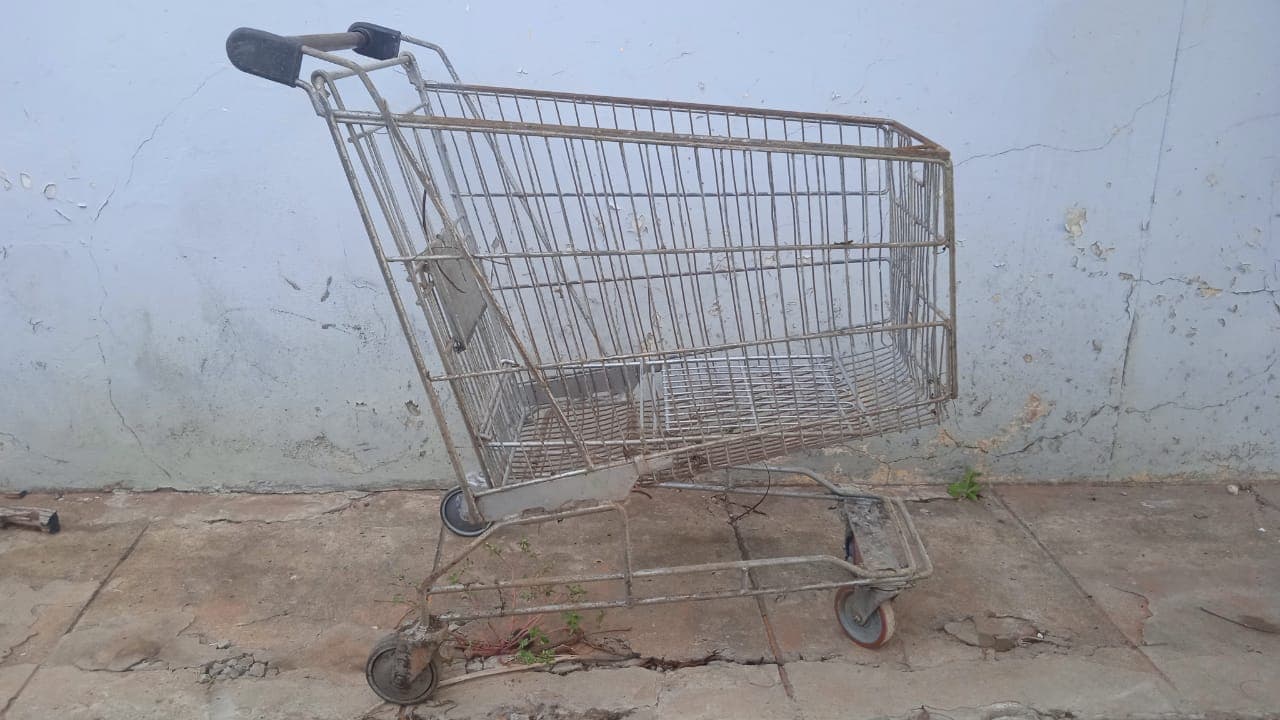 Carrinho Manual — imagem 2