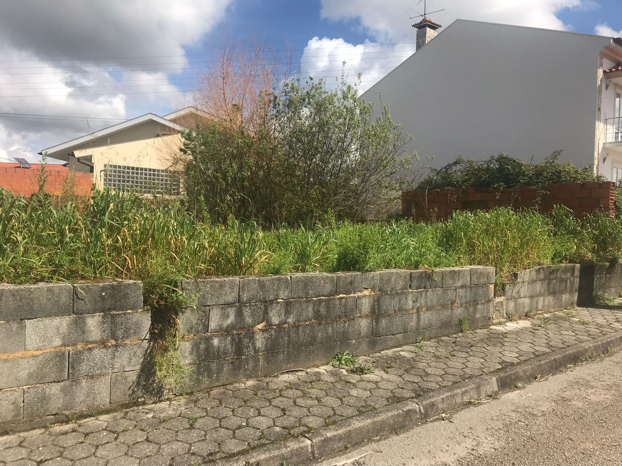 Terreno · Oliveira do Bairro — imagen 3