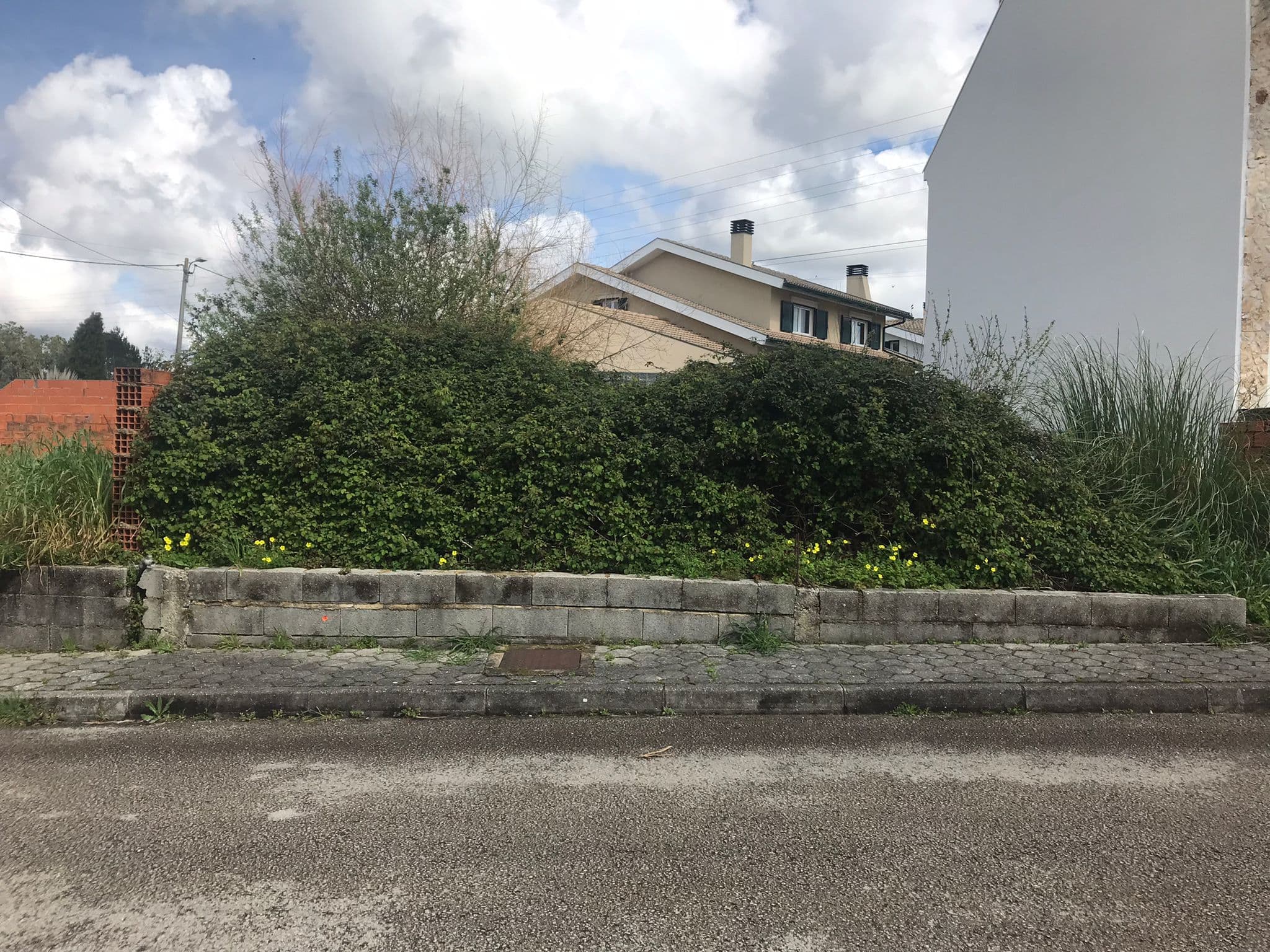 Terreno · Oliveira do Bairro — imagen 2