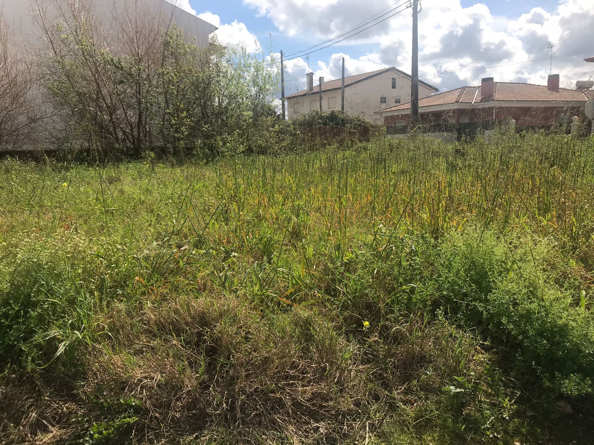 Terreno · Oliveira do Bairro — imagen 7