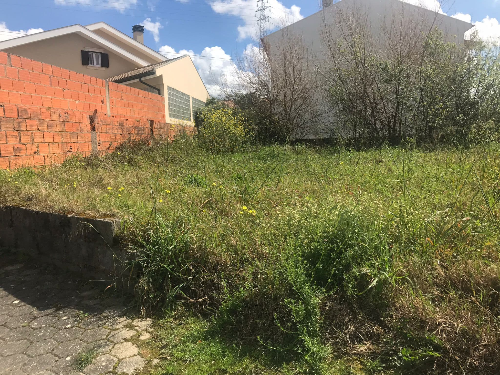 Terreno · Oliveira do Bairro — imagen 5