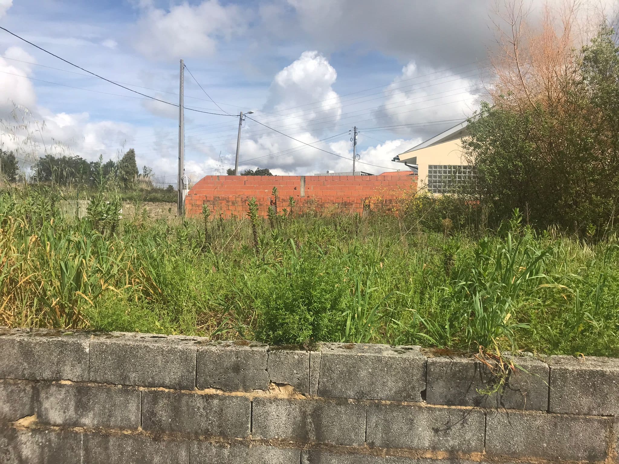 Terreno · Oliveira do Bairro — imagen 4