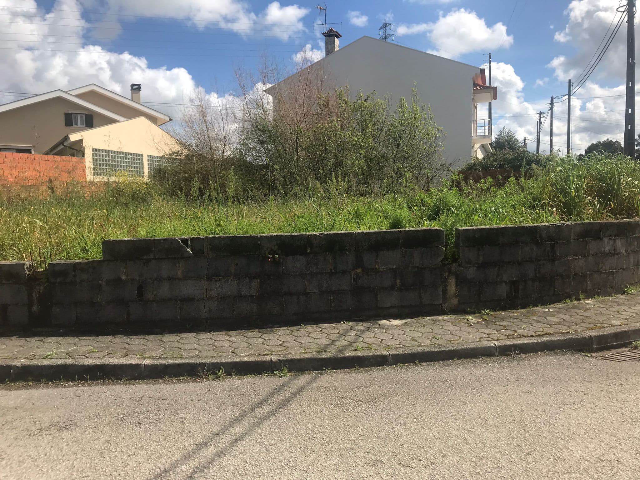 Terreno · Oliveira do Bairro — imagen 6