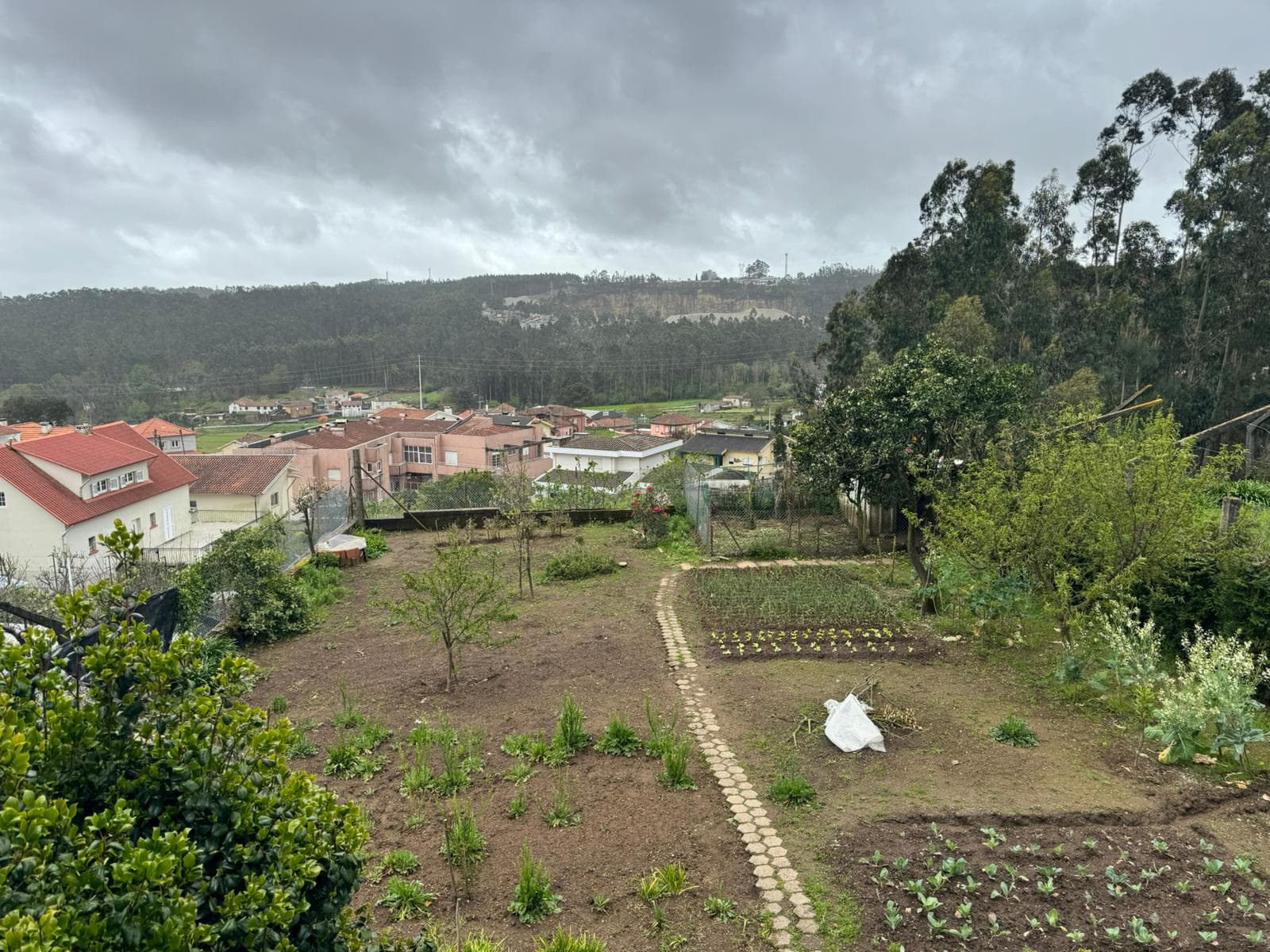 Quinhão Hereditário · Santa Maria da Feira — imagen 11