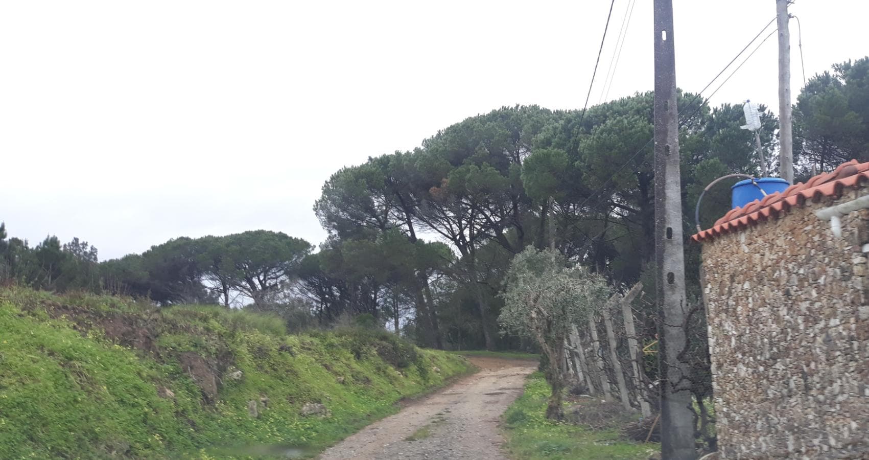 Terreno · Leiria — imagem 6