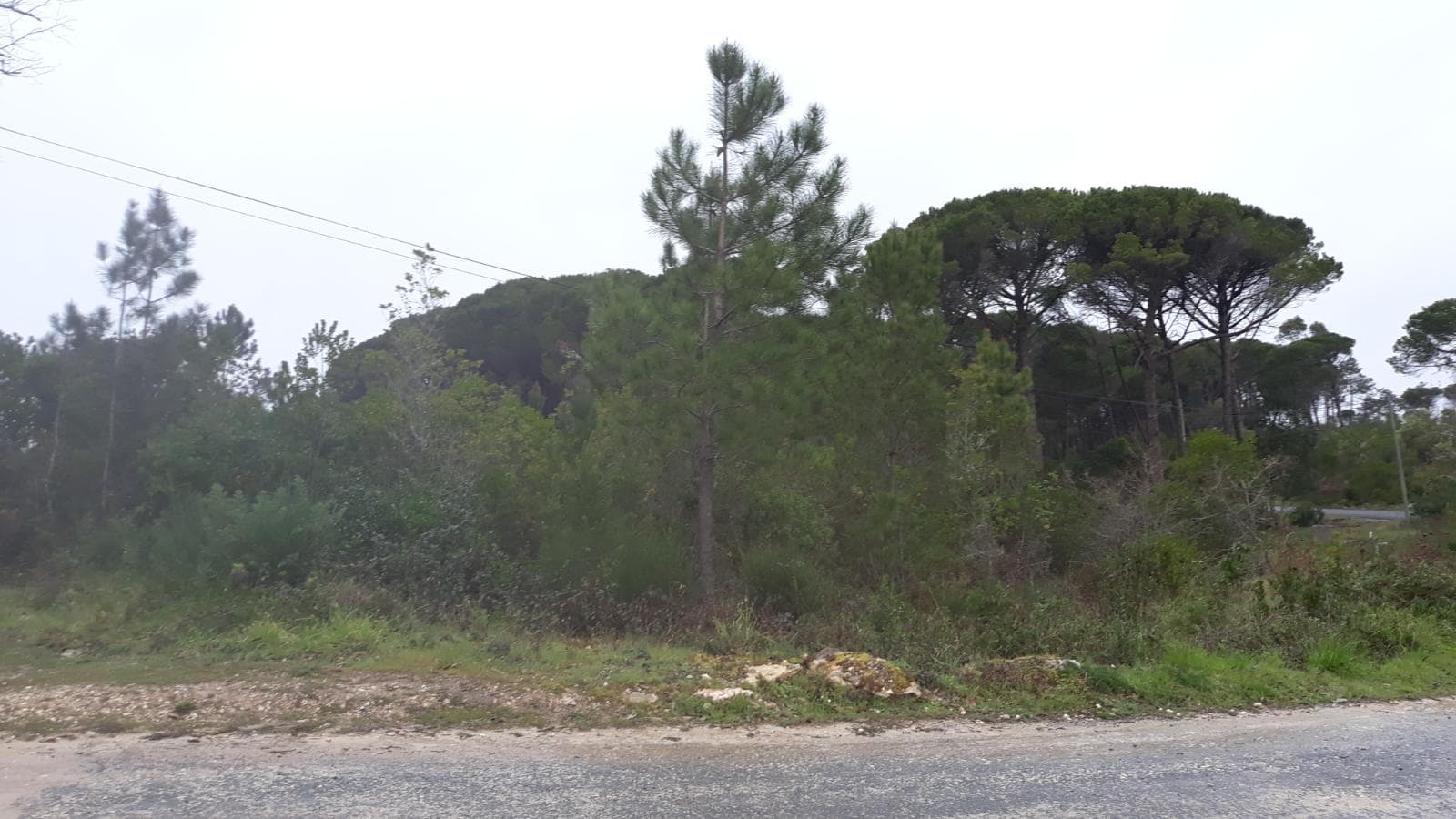 Terreno · Leiria